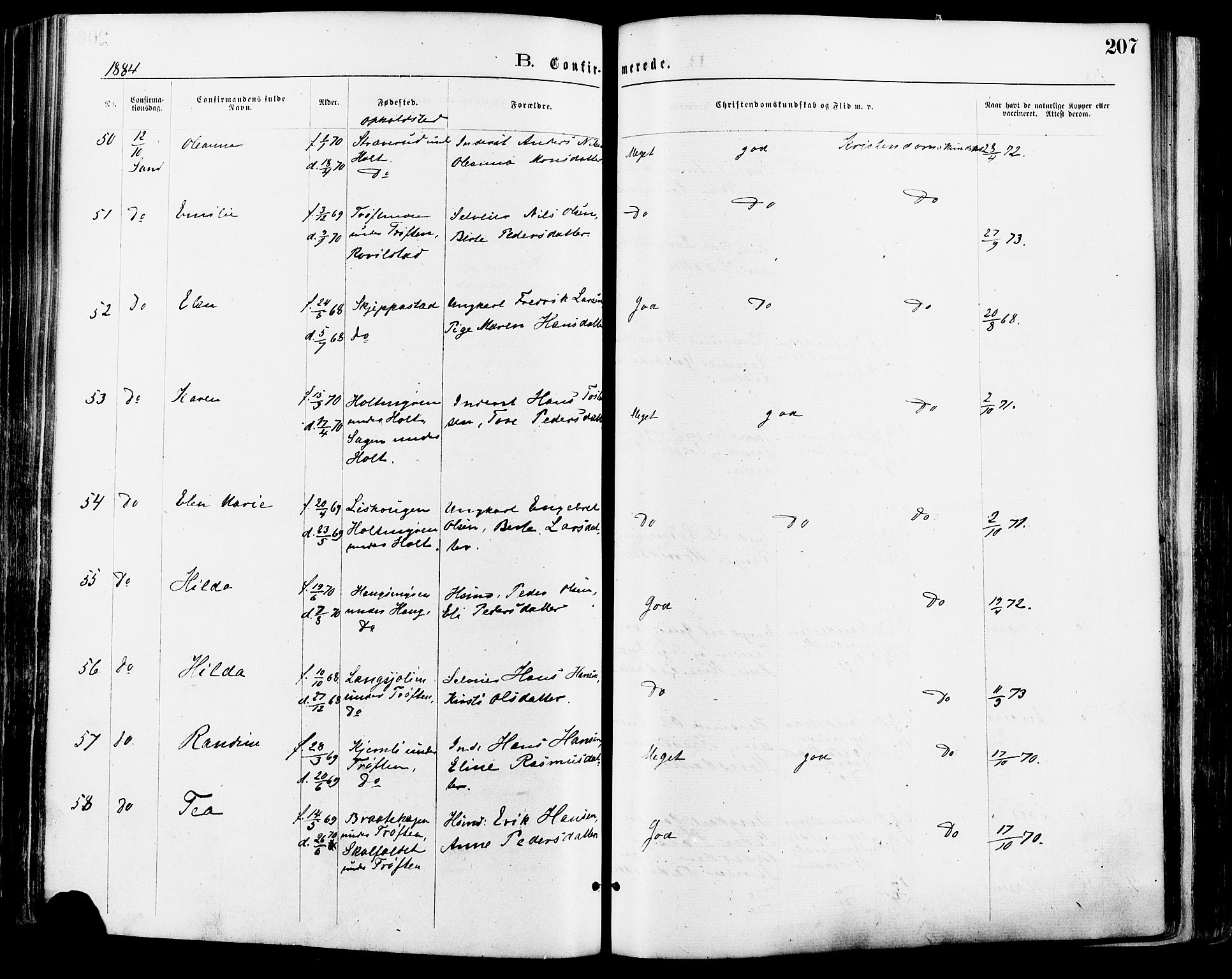 Nord-Odal prestekontor, AV/SAH-PREST-032/H/Ha/Haa/L0005: Parish register (official) no. 5, 1874-1885, p. 207