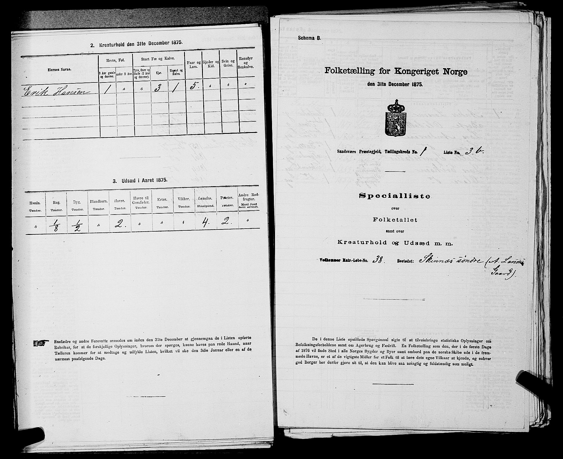 SAKO, 1875 census for 0629P Sandsvær, 1875, p. 306