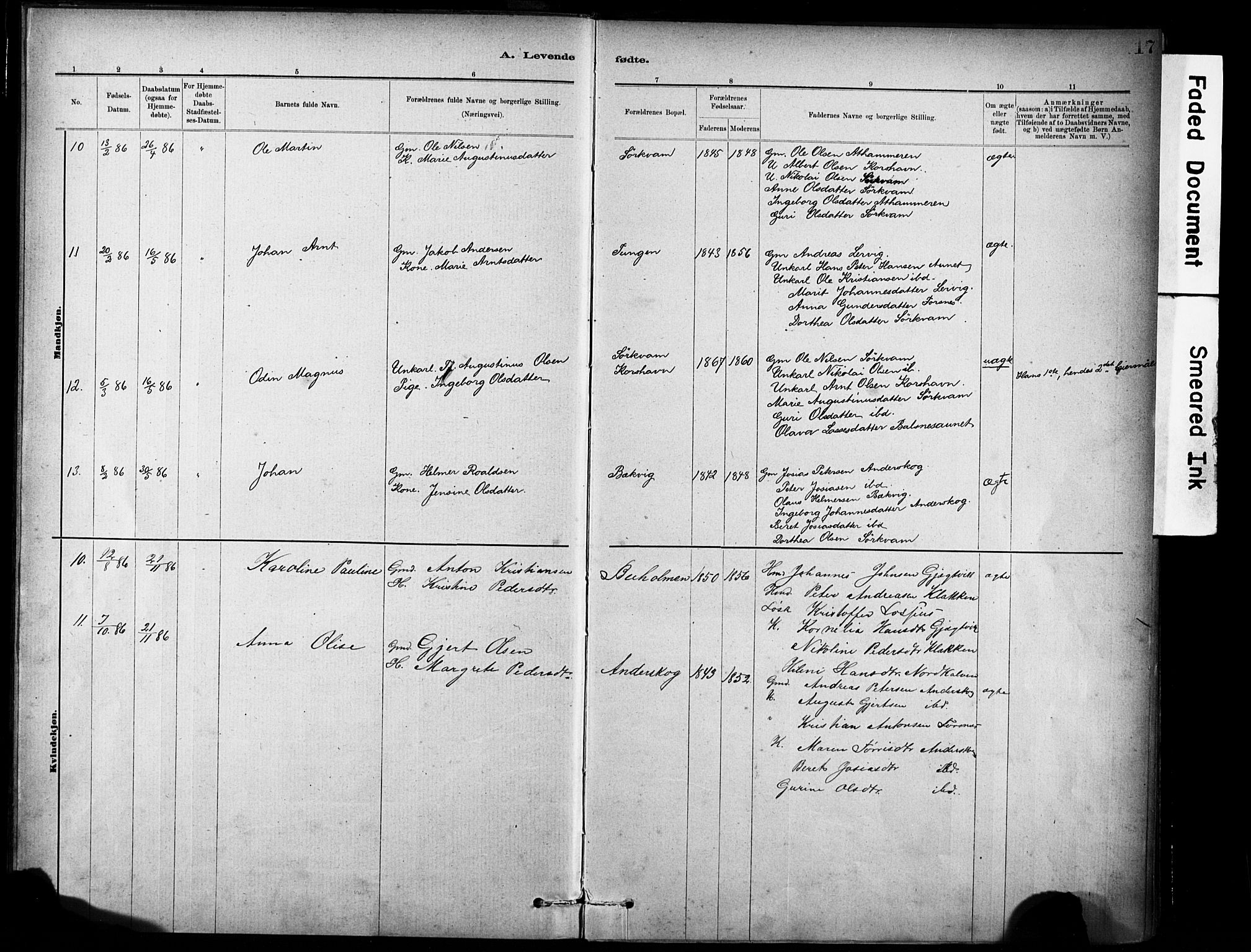 Ministerialprotokoller, klokkerbøker og fødselsregistre - Sør-Trøndelag, SAT/A-1456/635/L0551: Parish register (official) no. 635A01, 1882-1899, p. 17