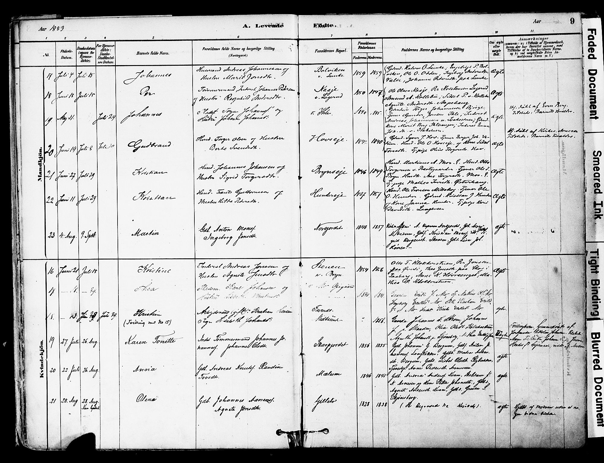 Øyer prestekontor, SAH/PREST-084/H/Ha/Haa/L0008: Parish register (official) no. 8, 1878-1897, p. 9