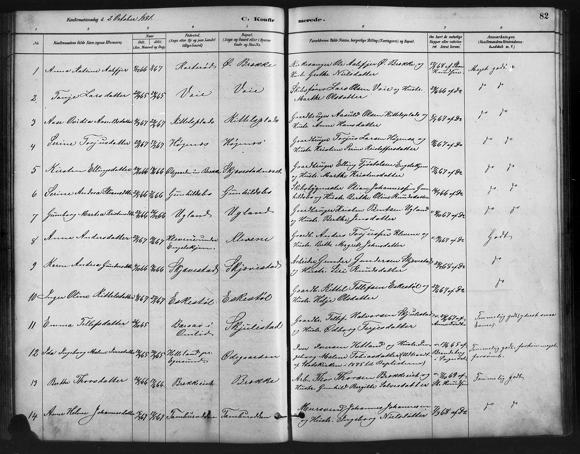 Austre Moland sokneprestkontor, AV/SAK-1111-0001/F/Fb/Fba/L0003: Parish register (copy) no. B 3, 1879-1914, p. 82