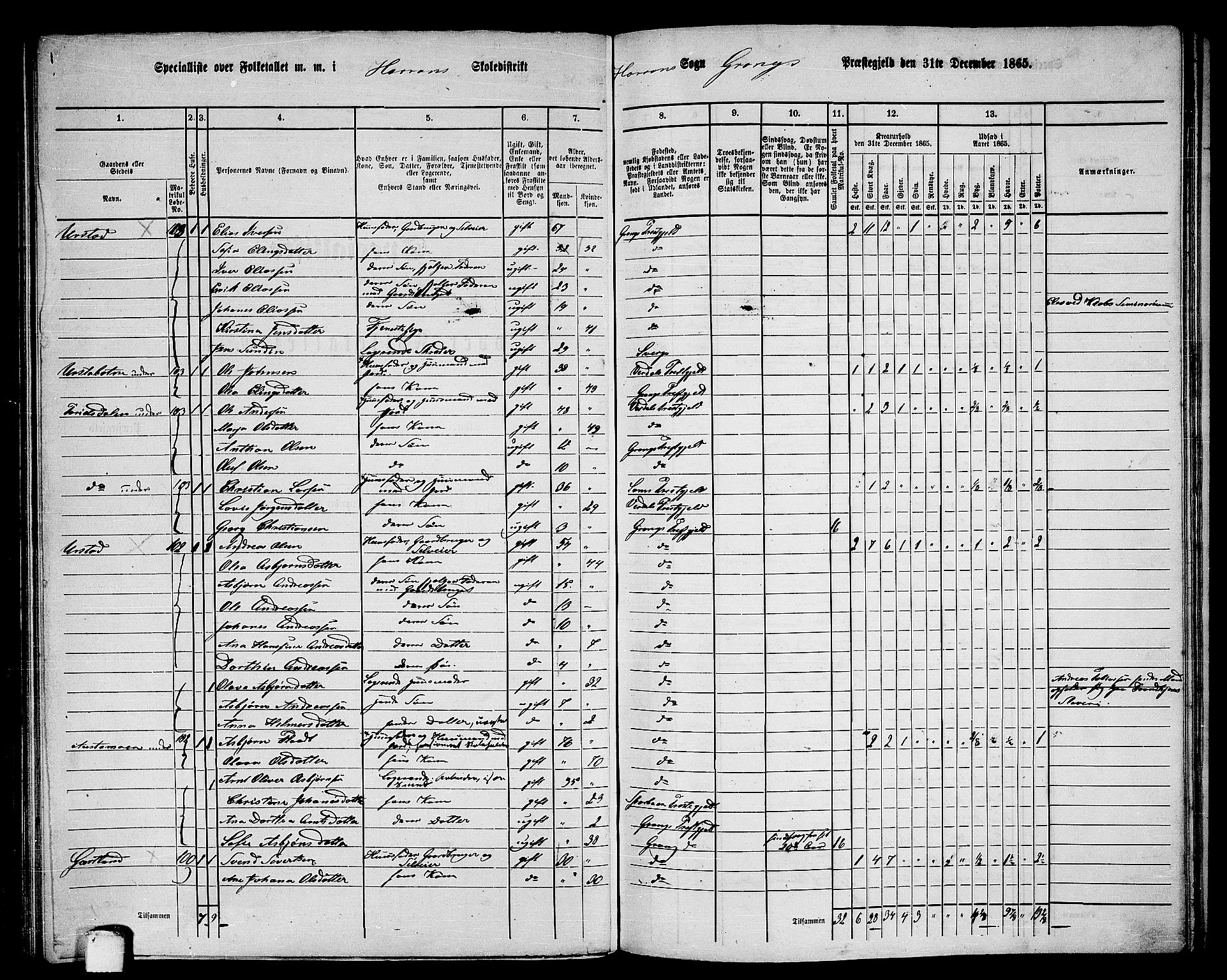 RA, 1865 census for Grong, 1865, p. 96