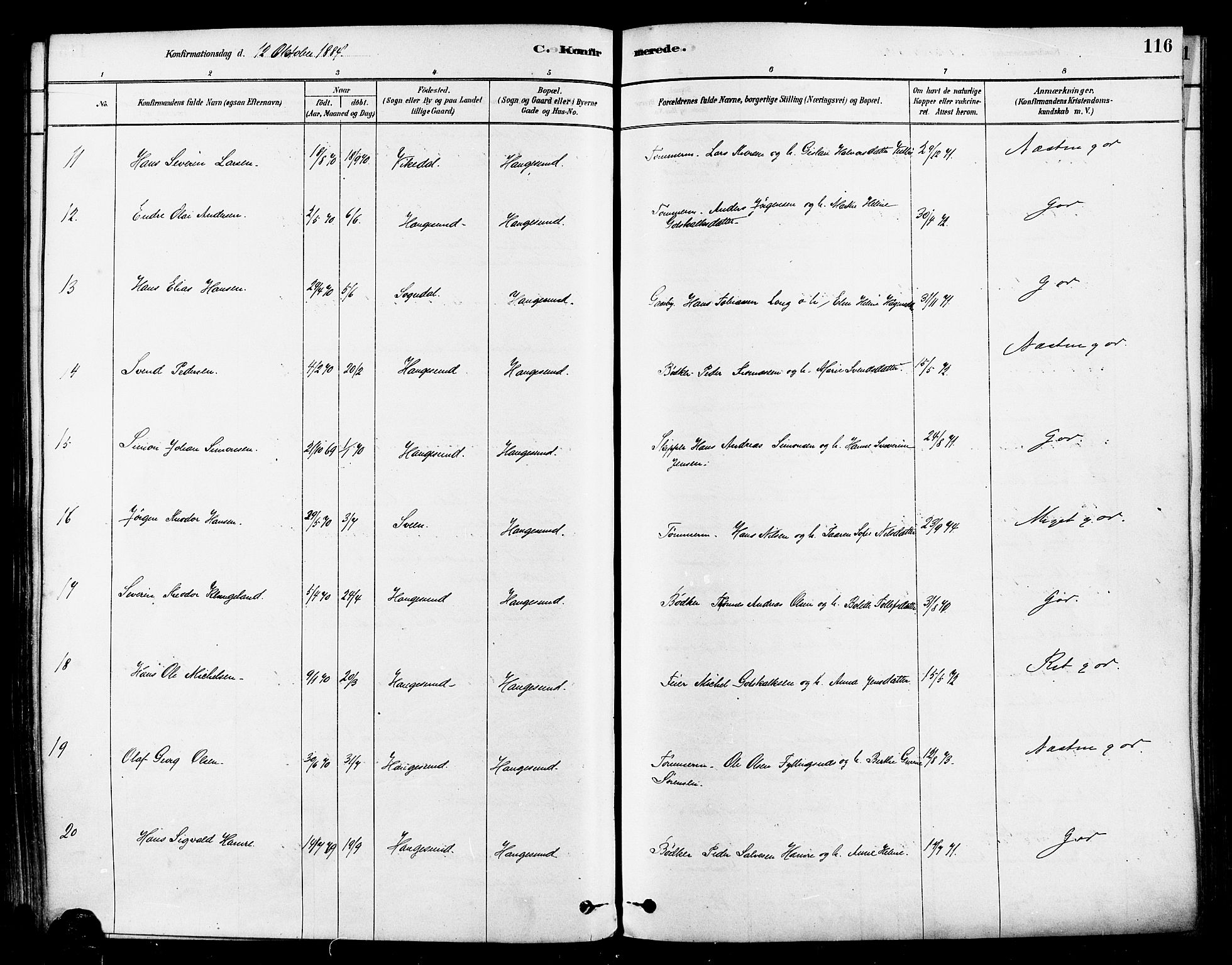 Haugesund sokneprestkontor, AV/SAST-A -101863/H/Ha/Haa/L0001: Parish register (official) no. A 1, 1878-1885, p. 116