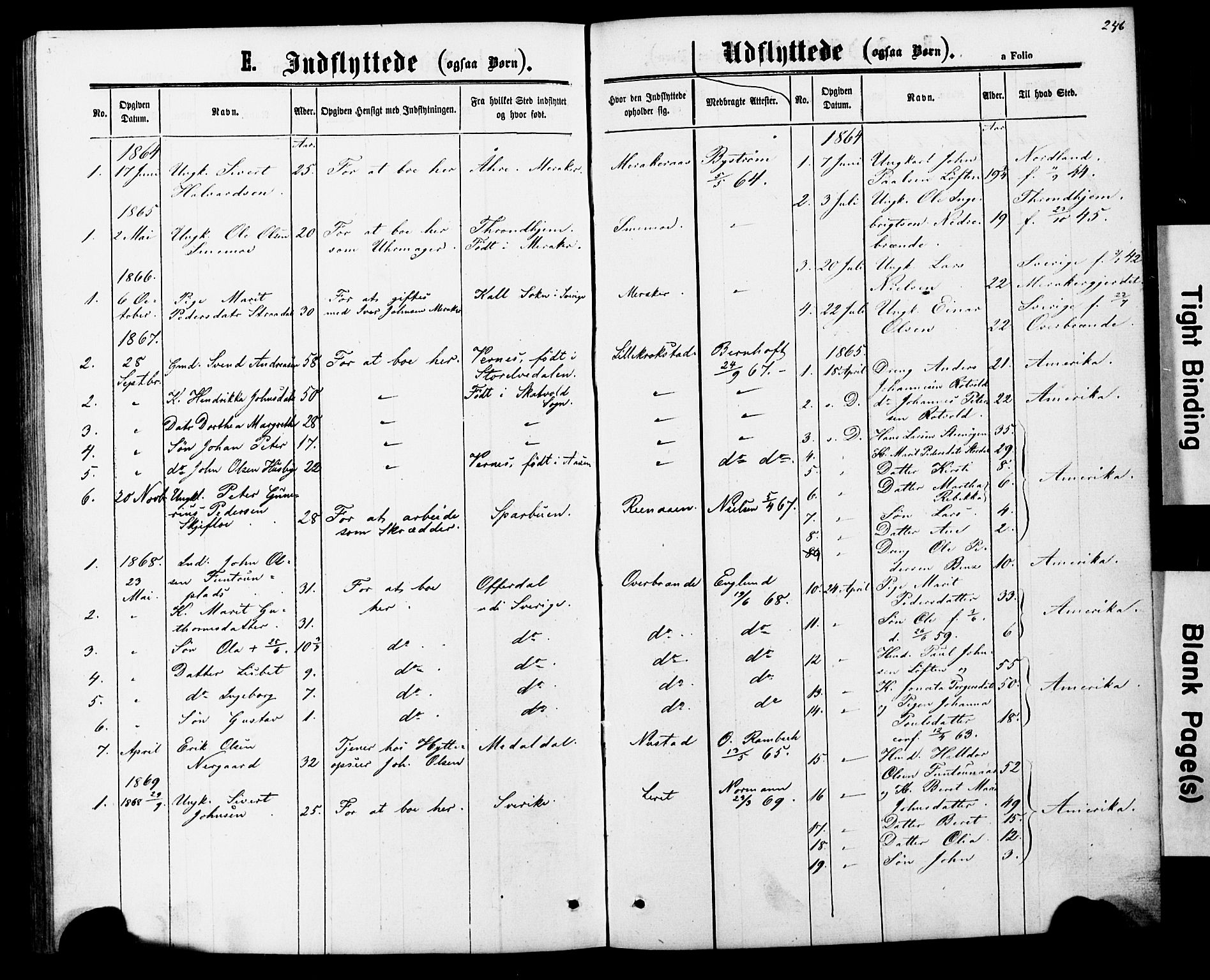 Ministerialprotokoller, klokkerbøker og fødselsregistre - Nord-Trøndelag, AV/SAT-A-1458/706/L0049: Parish register (copy) no. 706C01, 1864-1895, p. 246