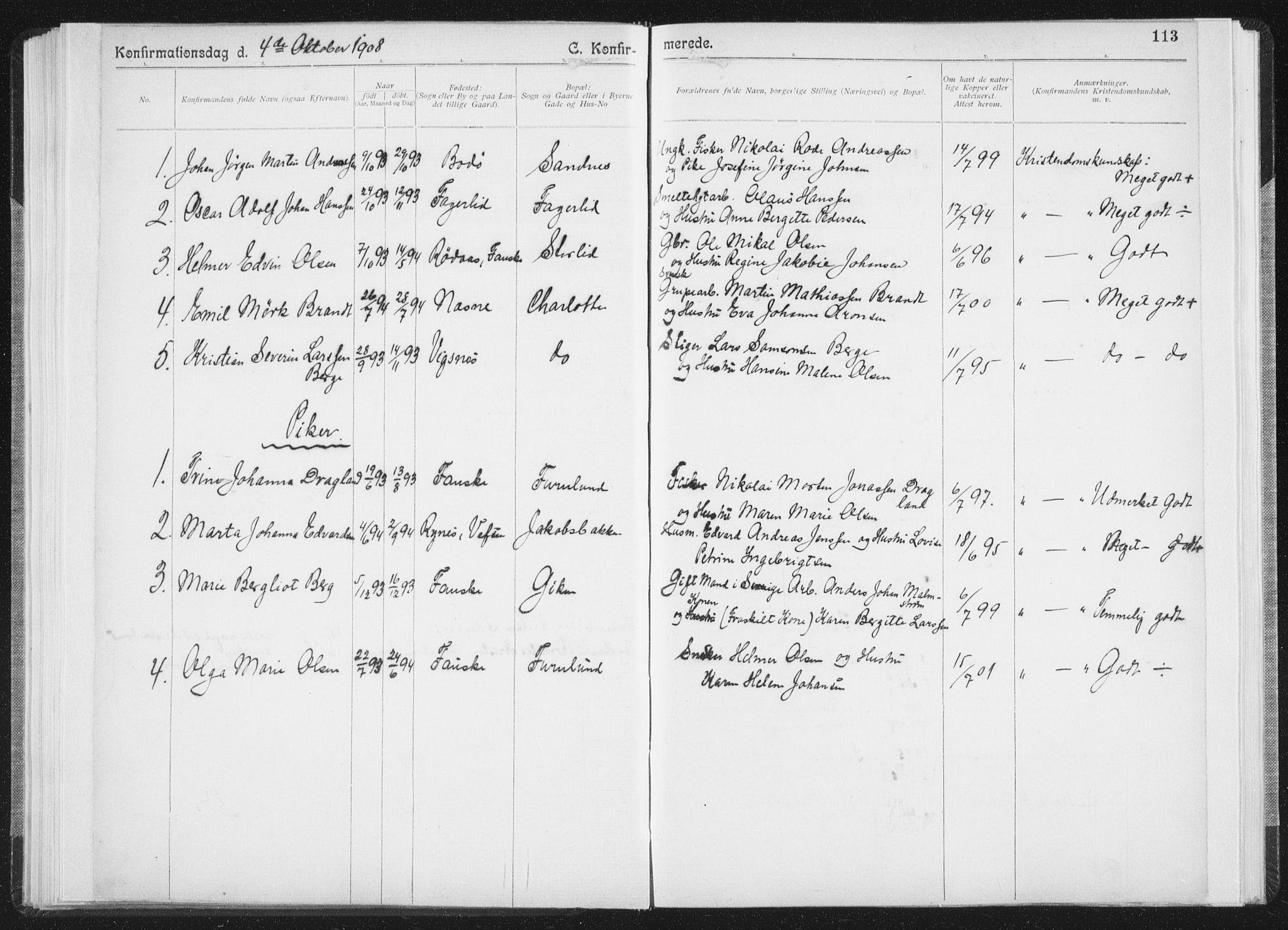 Ministerialprotokoller, klokkerbøker og fødselsregistre - Nordland, SAT/A-1459/850/L0711: Curate's parish register no. 850B01, 1902-1915, p. 113