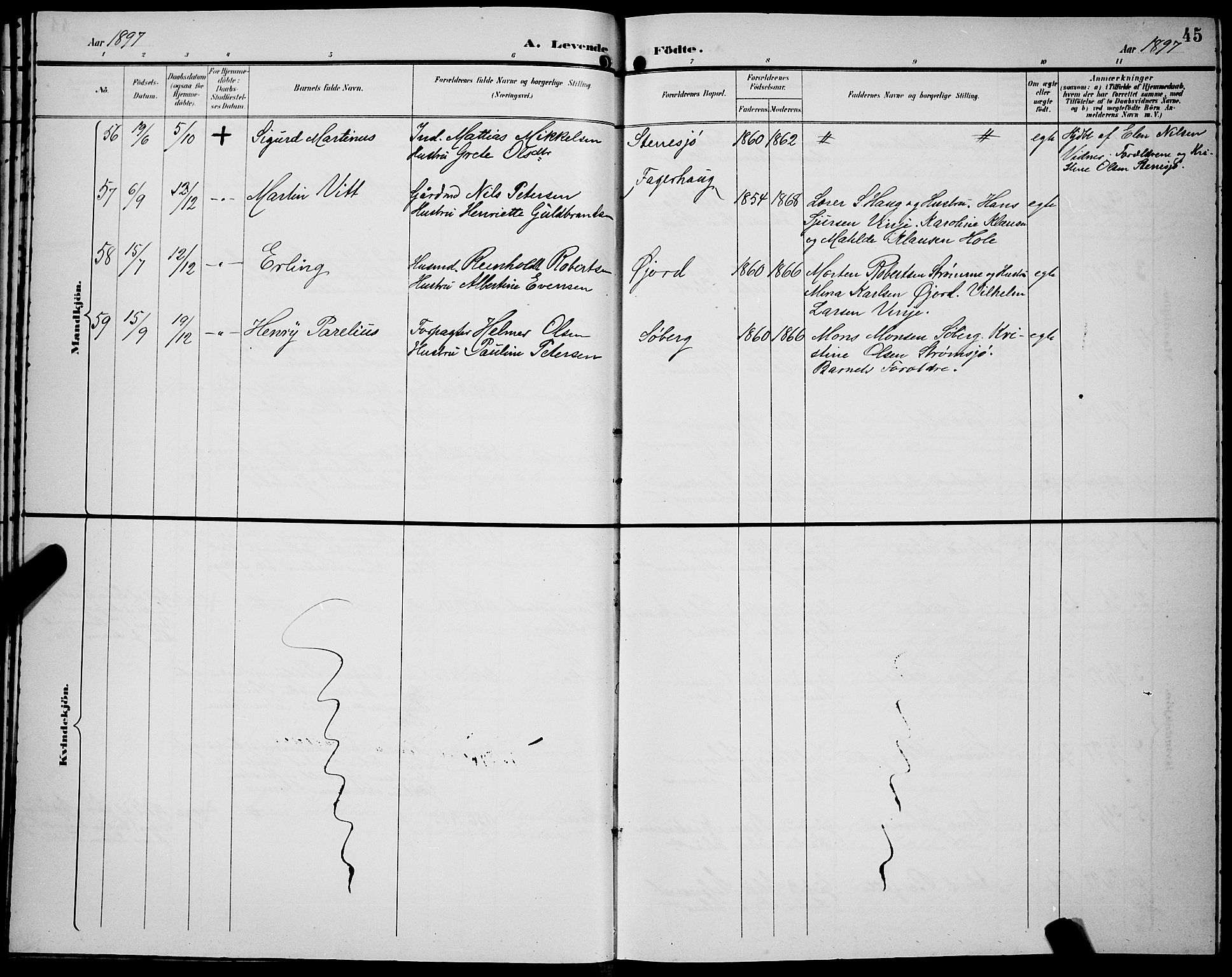 Ministerialprotokoller, klokkerbøker og fødselsregistre - Nordland, AV/SAT-A-1459/891/L1316: Parish register (copy) no. 891C05, 1894-1898, p. 45