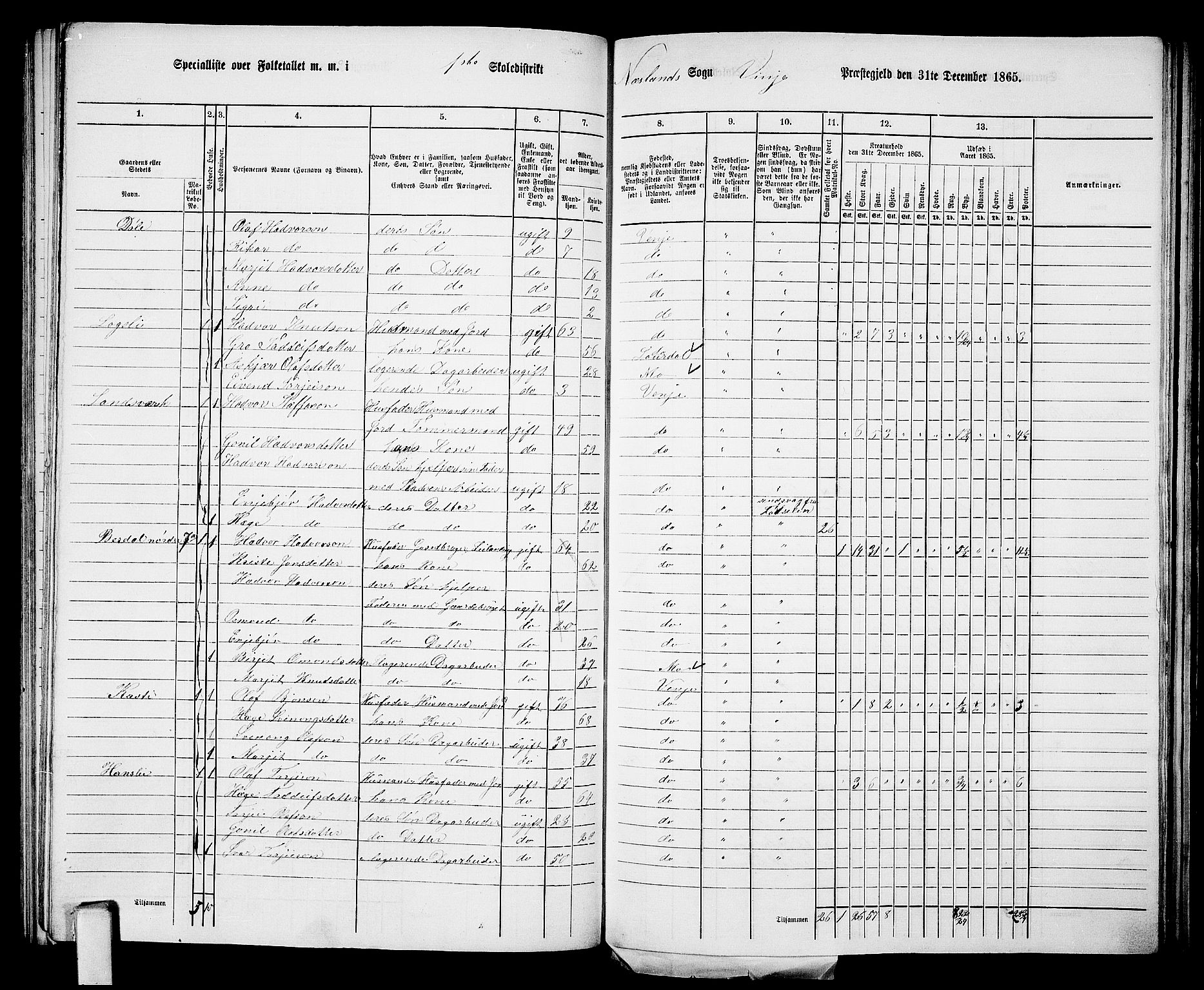 RA, 1865 census for Vinje, 1865, p. 9