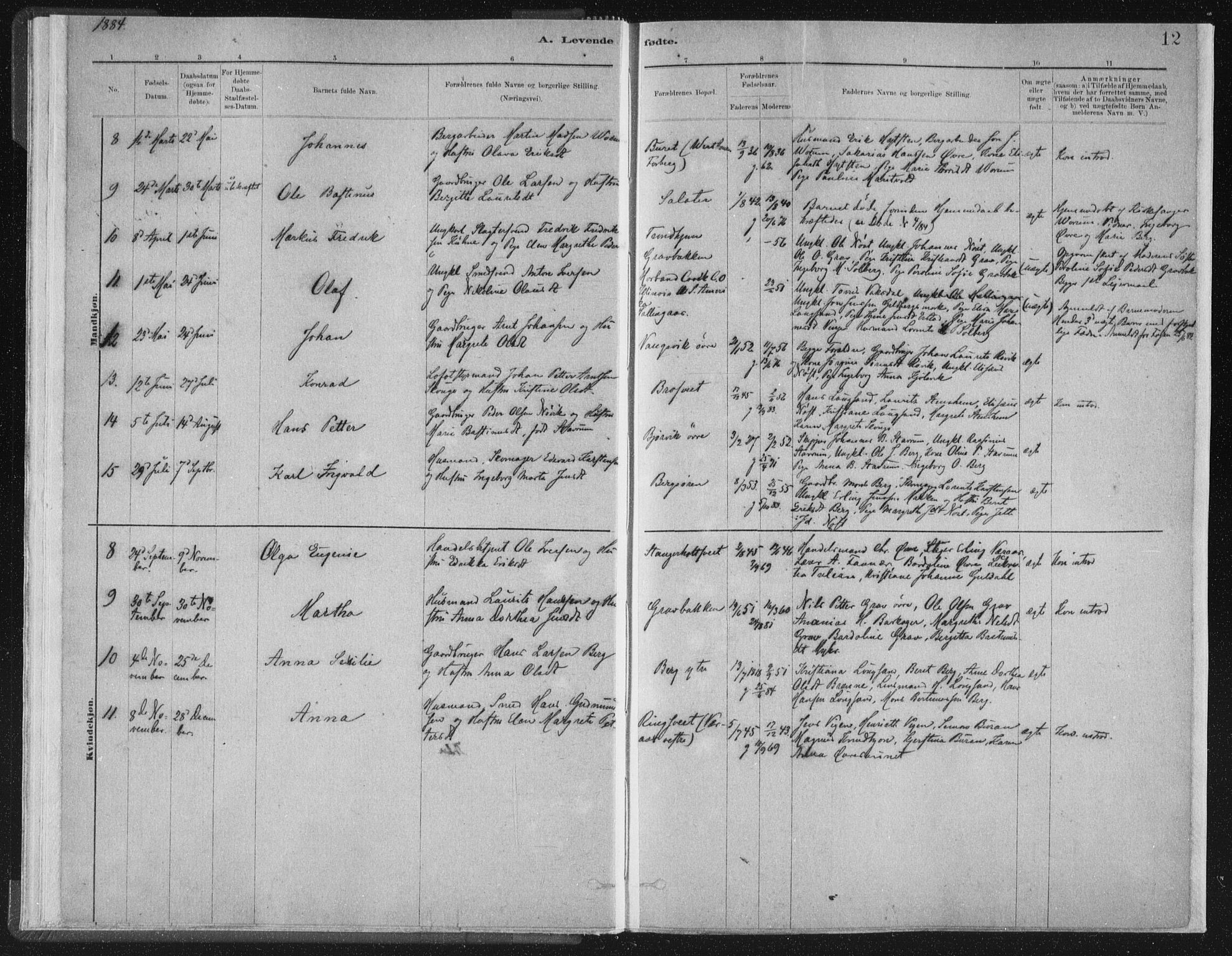 Ministerialprotokoller, klokkerbøker og fødselsregistre - Nord-Trøndelag, AV/SAT-A-1458/722/L0220: Parish register (official) no. 722A07, 1881-1908, p. 12