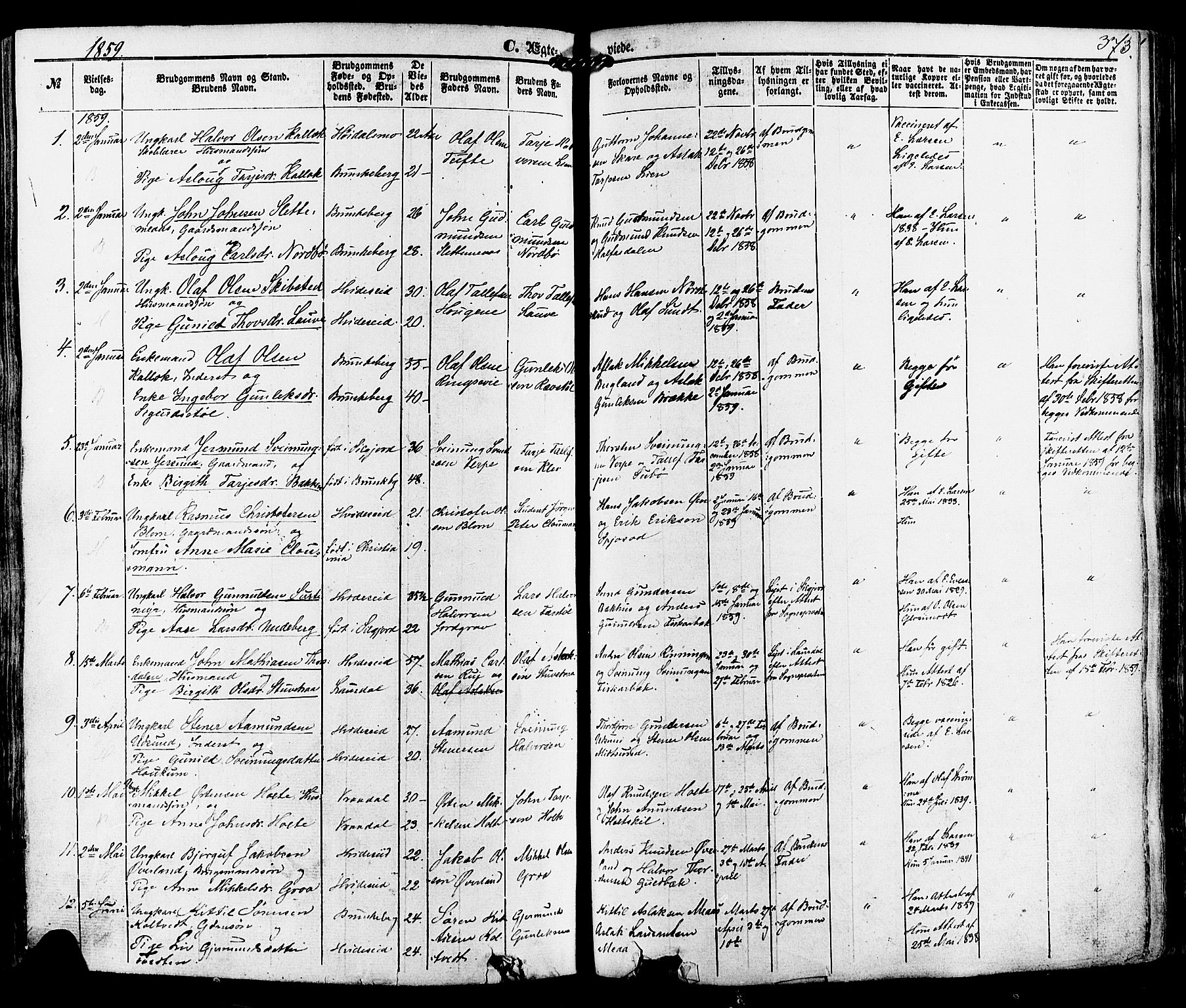 Kviteseid kirkebøker, SAKO/A-276/F/Fa/L0007: Parish register (official) no. I 7, 1859-1881, p. 373