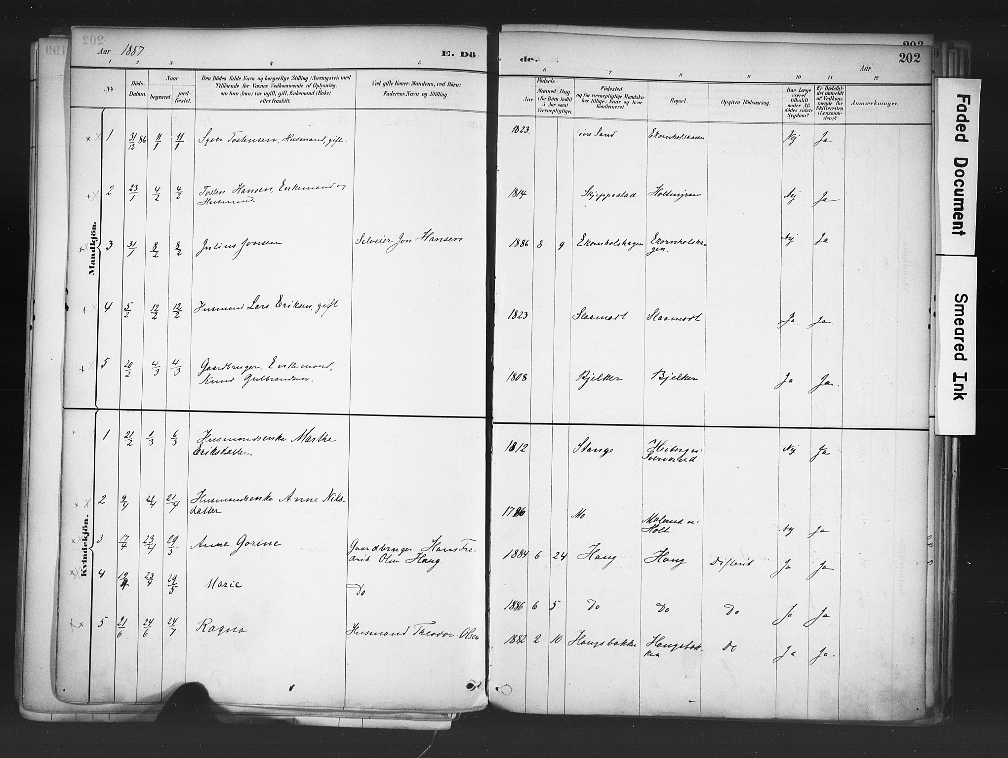 Nord-Odal prestekontor, AV/SAH-PREST-032/H/Ha/Haa/L0006: Parish register (official) no. 6, 1886-1901, p. 202