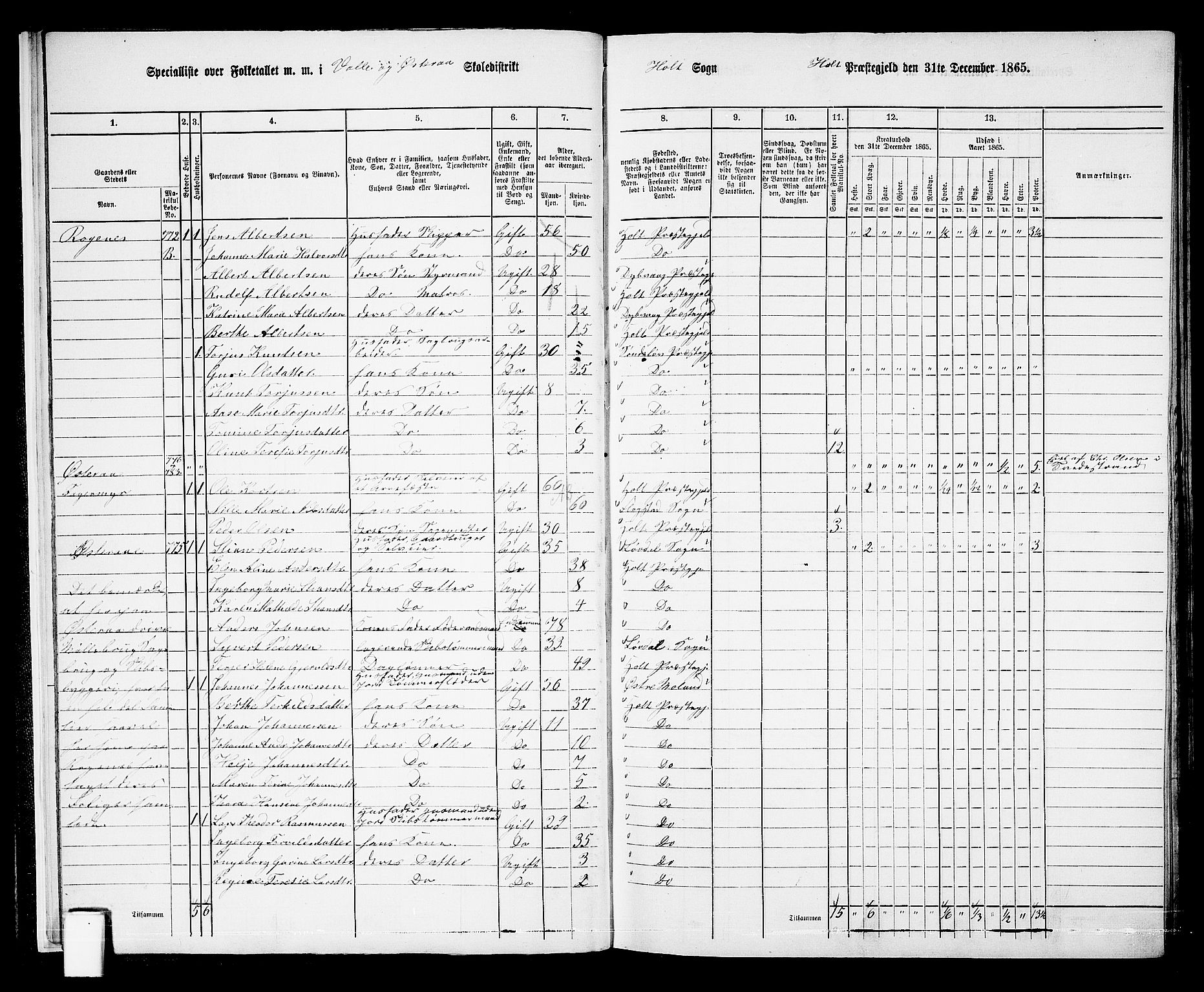 RA, 1865 census for Holt/Holt, 1865, p. 14