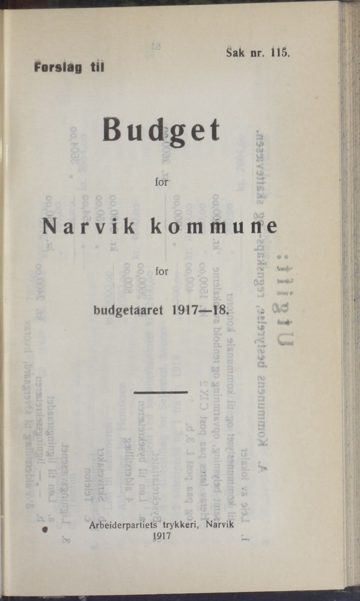 Narvik kommune. Formannskap , AIN/K-18050.150/A/Ab/L0007: Møtebok, 1917