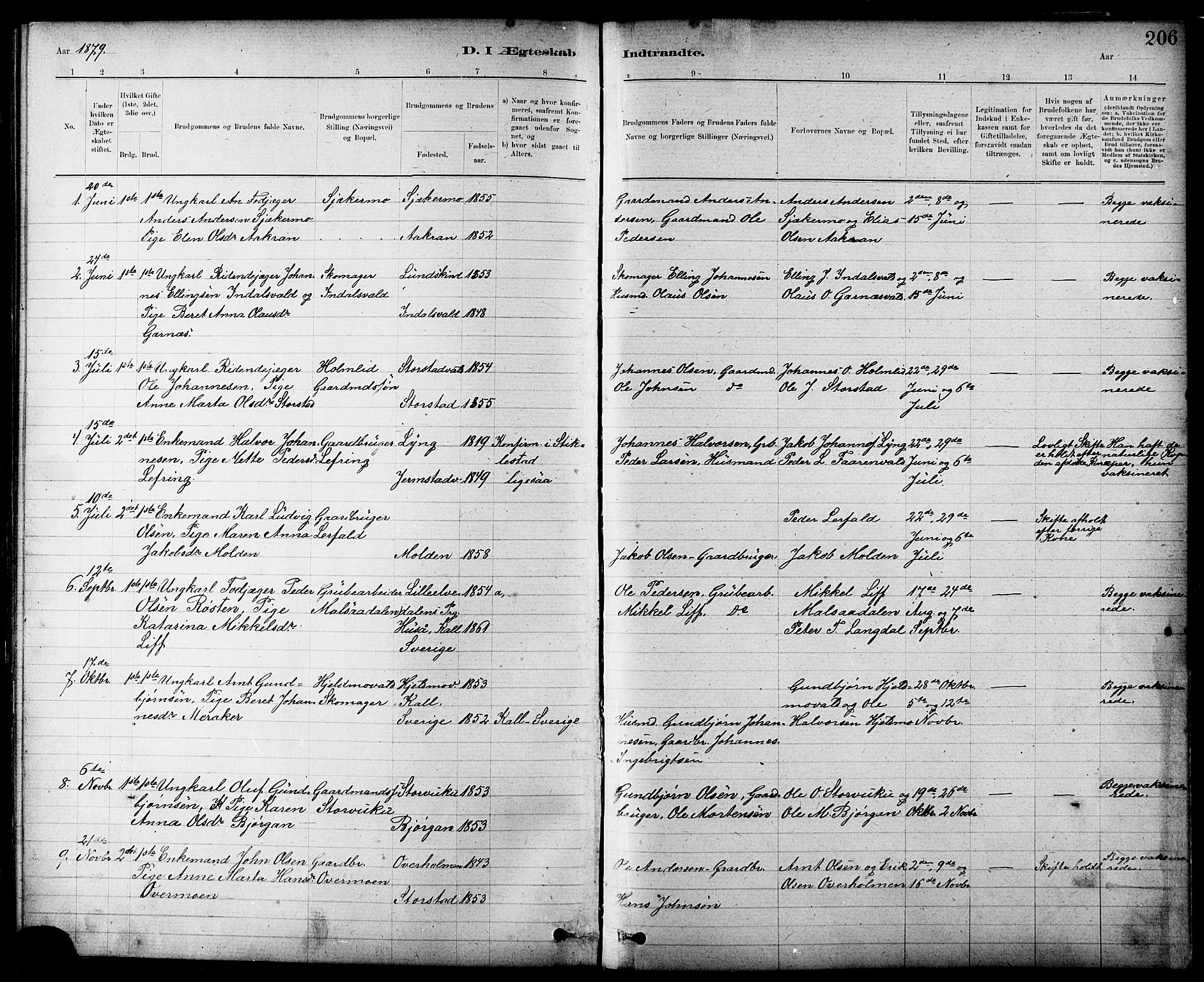 Ministerialprotokoller, klokkerbøker og fødselsregistre - Nord-Trøndelag, SAT/A-1458/724/L0267: Parish register (copy) no. 724C03, 1879-1898, p. 206