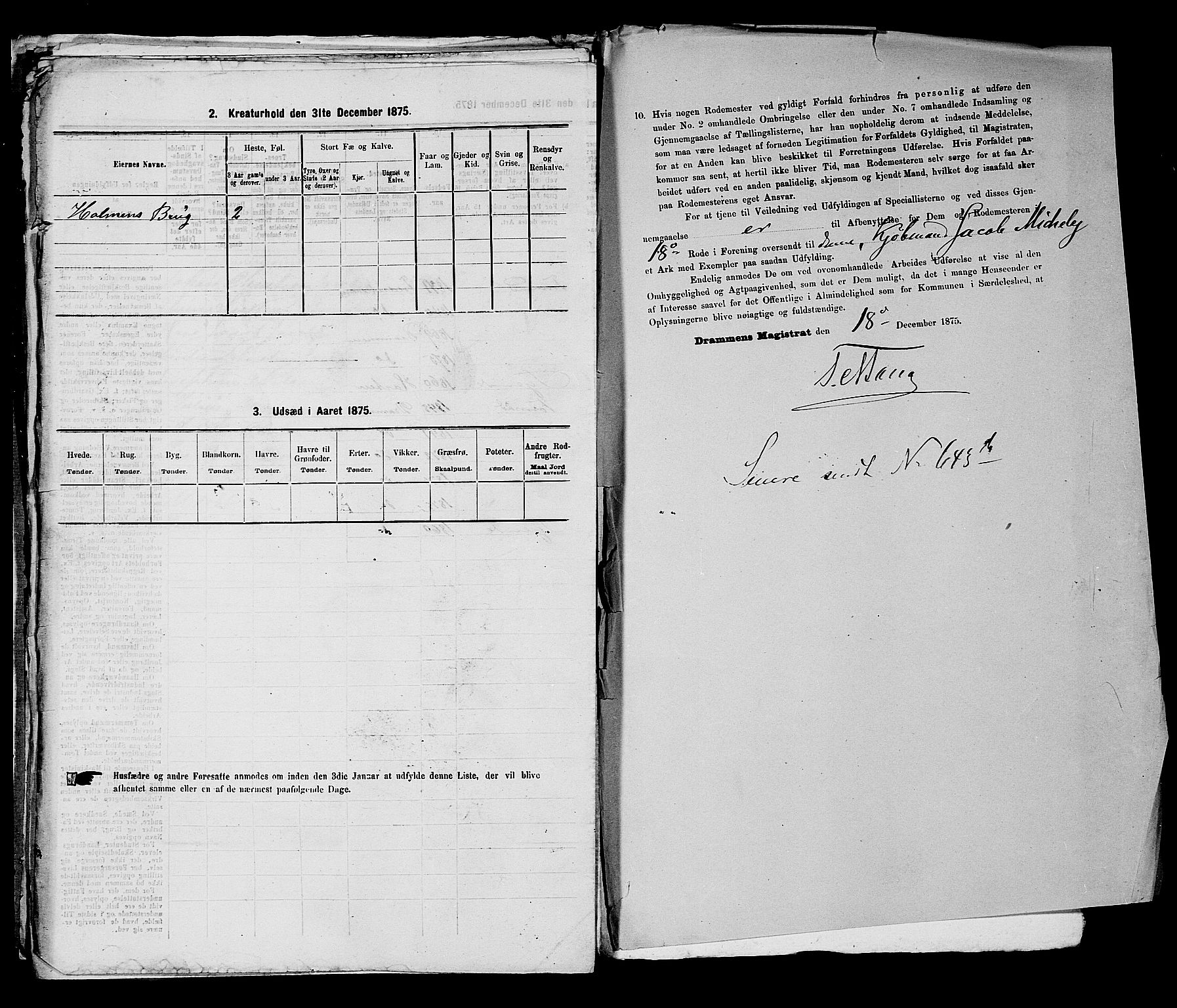 SAKO, 1875 census for 0602 Drammen, 1875, p. 1924