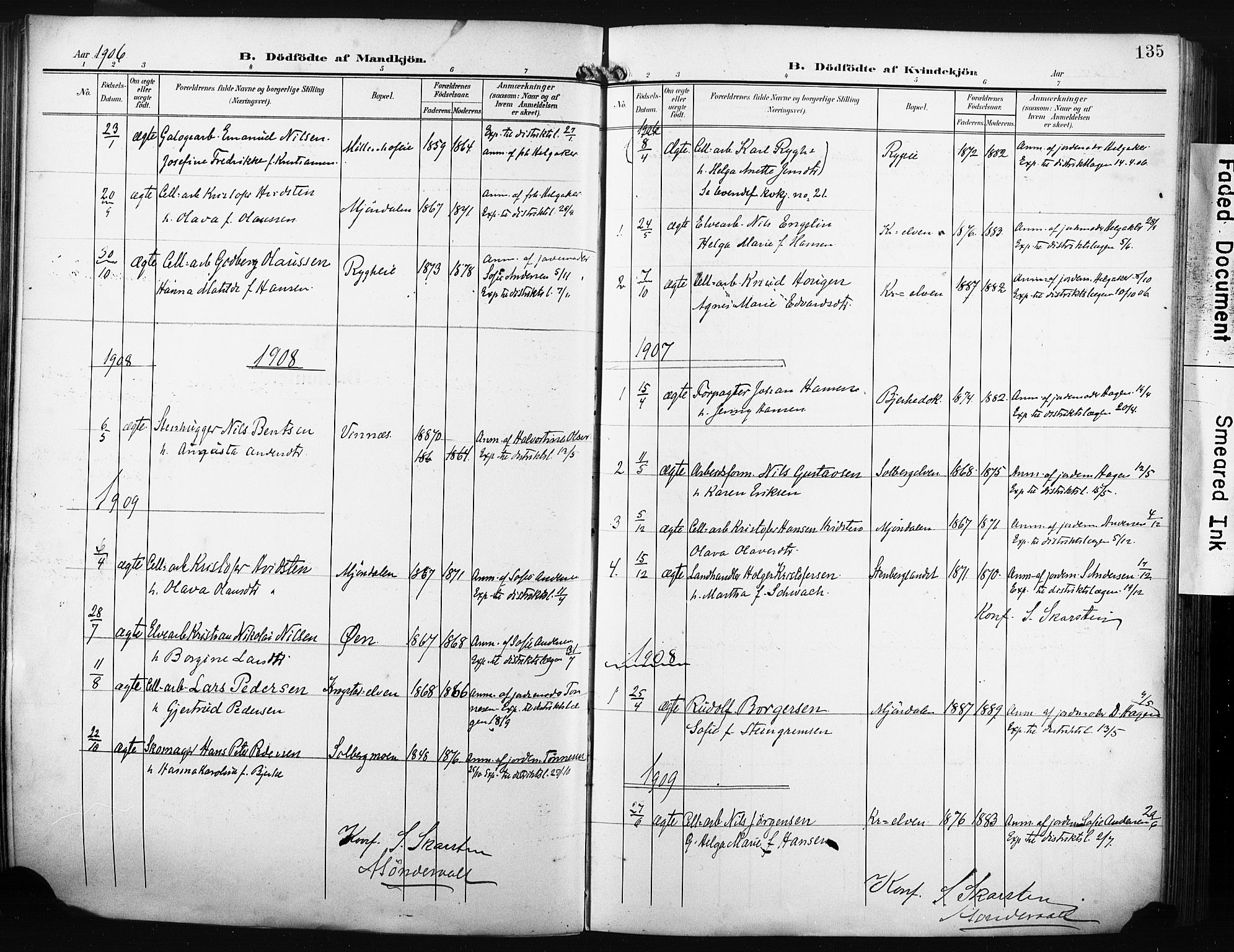 Nedre Eiker kirkebøker, AV/SAKO-A-612/F/Fa/L0006: Parish register (official) no. 6, 1906-1912, p. 135