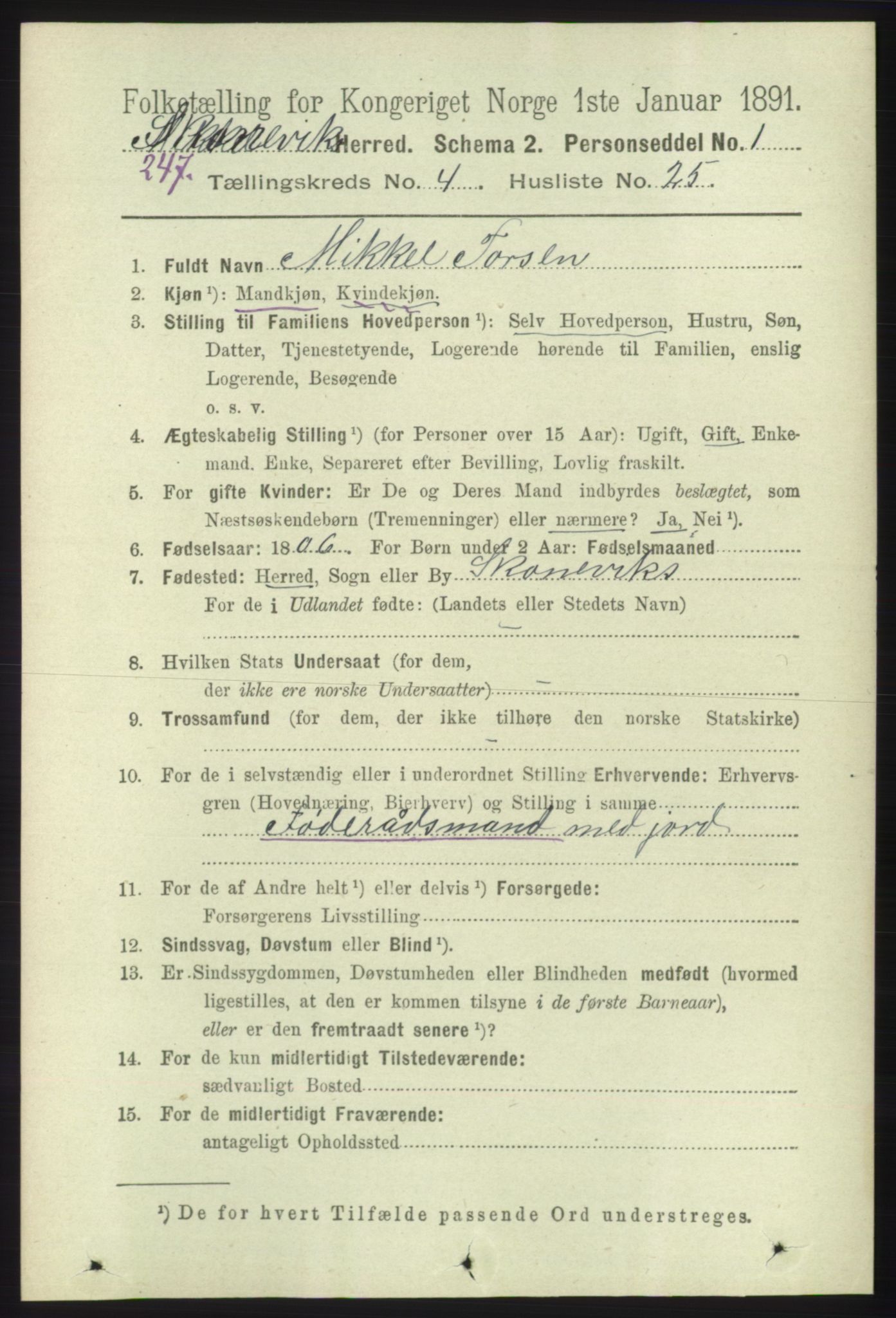 RA, 1891 census for 1212 Skånevik, 1891, p. 971