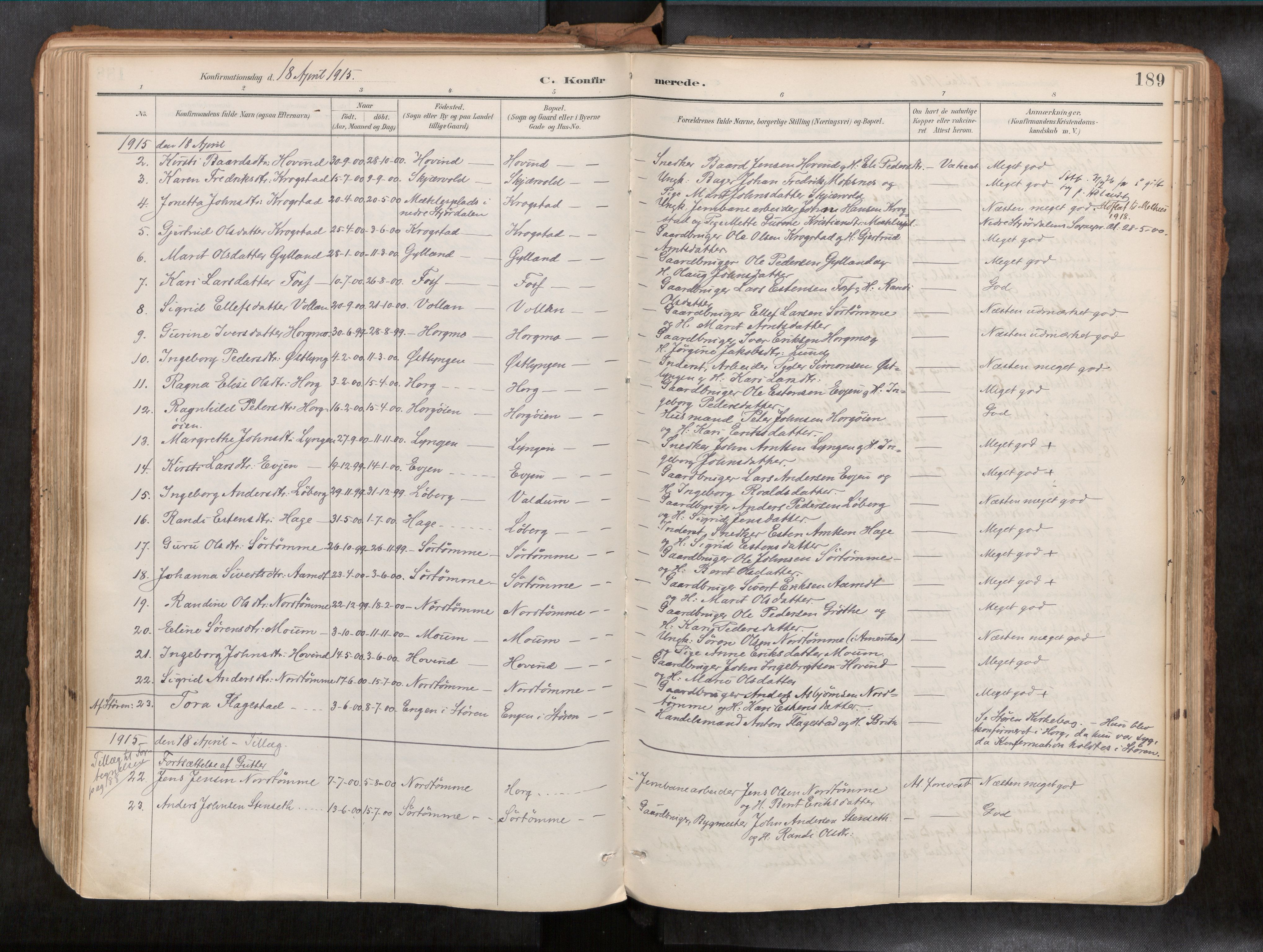 Ministerialprotokoller, klokkerbøker og fødselsregistre - Sør-Trøndelag, SAT/A-1456/692/L1105b: Parish register (official) no. 692A06, 1891-1934, p. 189