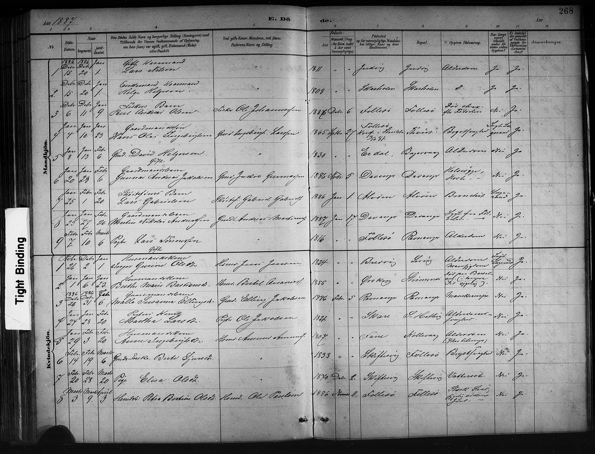Askøy Sokneprestembete, AV/SAB-A-74101/H/Ha/Hab/Haba/L0008: Parish register (copy) no. A 8, 1882-1893, p. 268