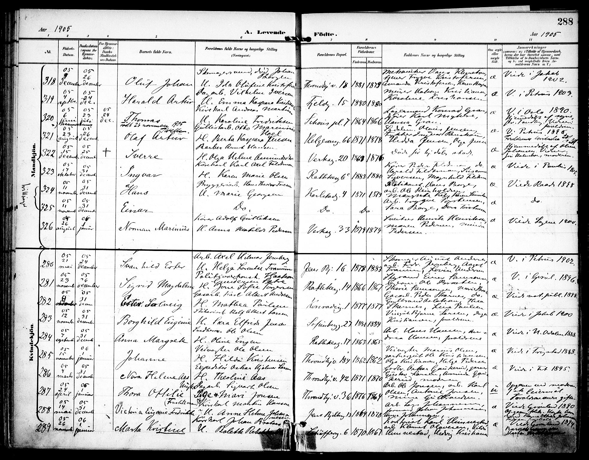 Petrus prestekontor Kirkebøker, AV/SAO-A-10872/F/Fa/L0008: Parish register (official) no. I 8, 1899-1909, p. 288