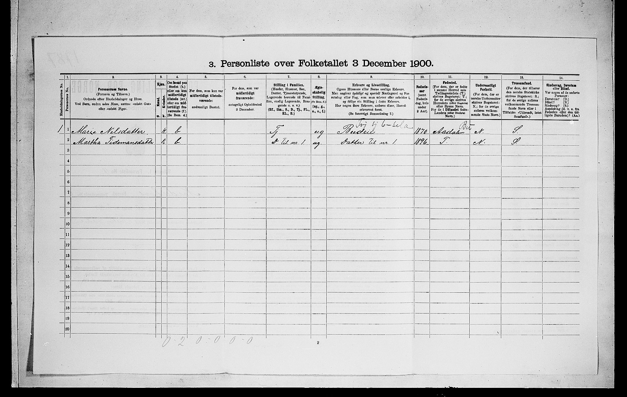 RA, 1900 census for Norderhov, 1900, p. 1392