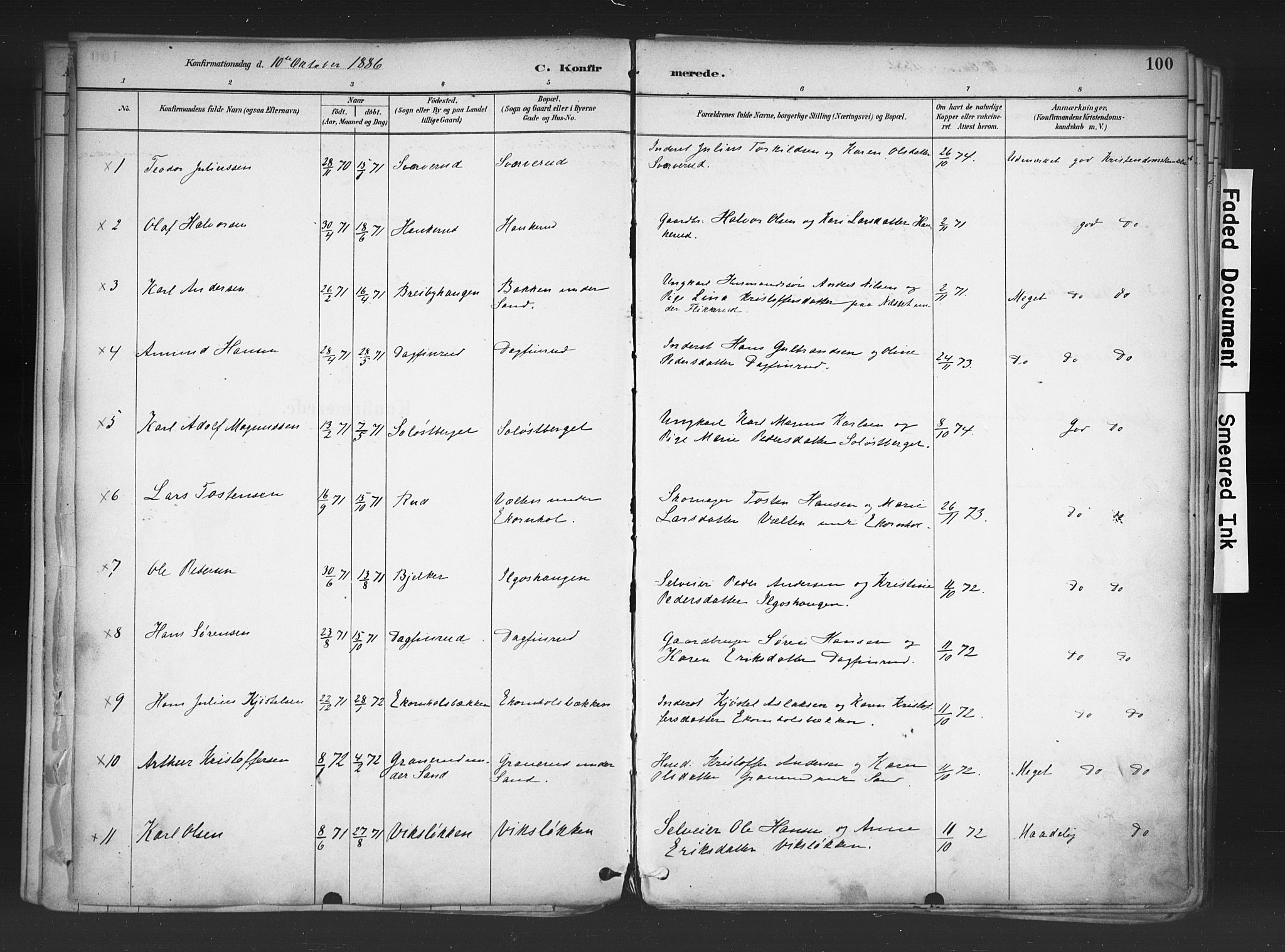 Nord-Odal prestekontor, AV/SAH-PREST-032/H/Ha/Haa/L0006: Parish register (official) no. 6, 1886-1901, p. 100