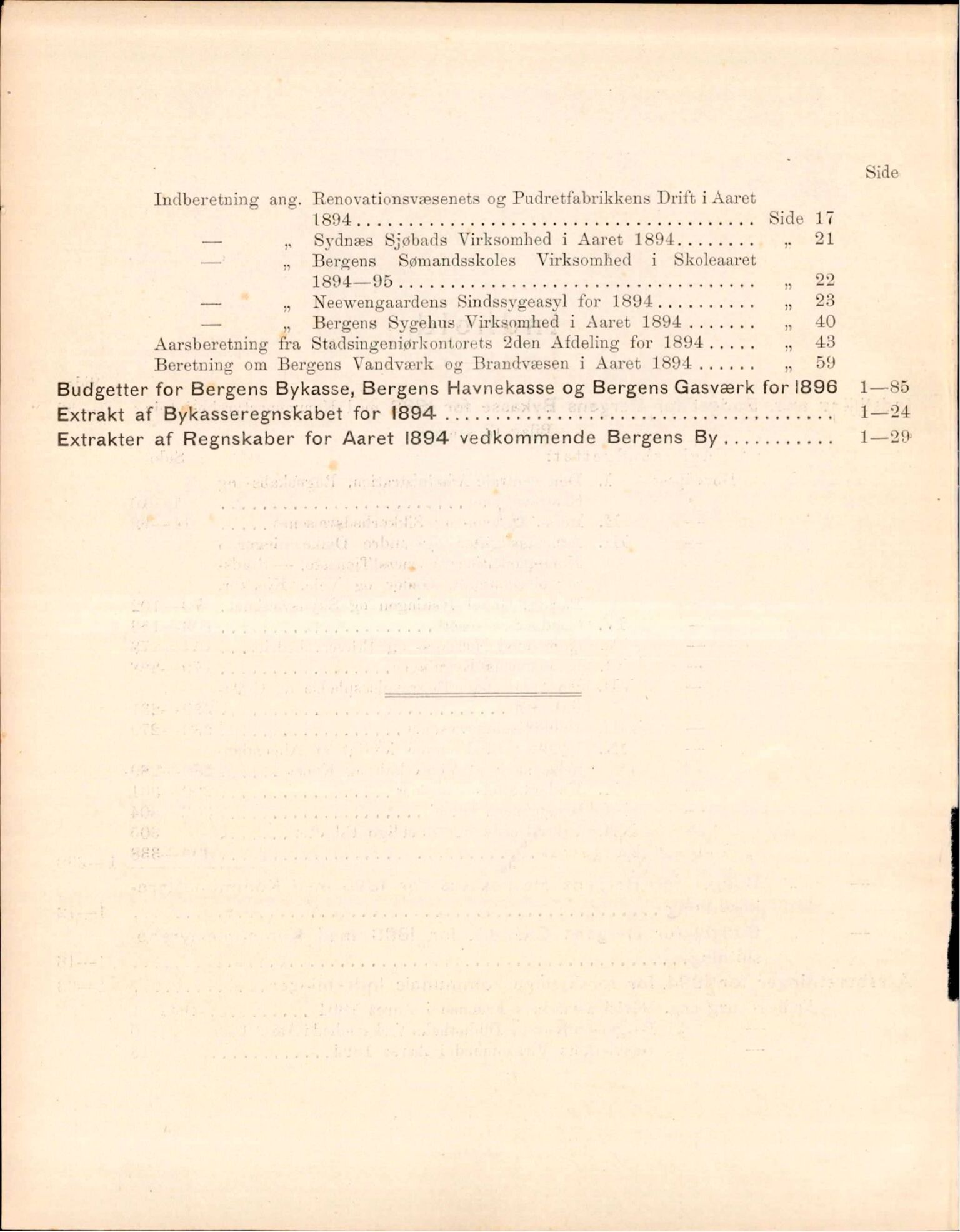 Bergen kommune. Formannskapet, BBA/A-0003/Ad/L0052: Bergens Kommuneforhandlinger, bind II, 1895