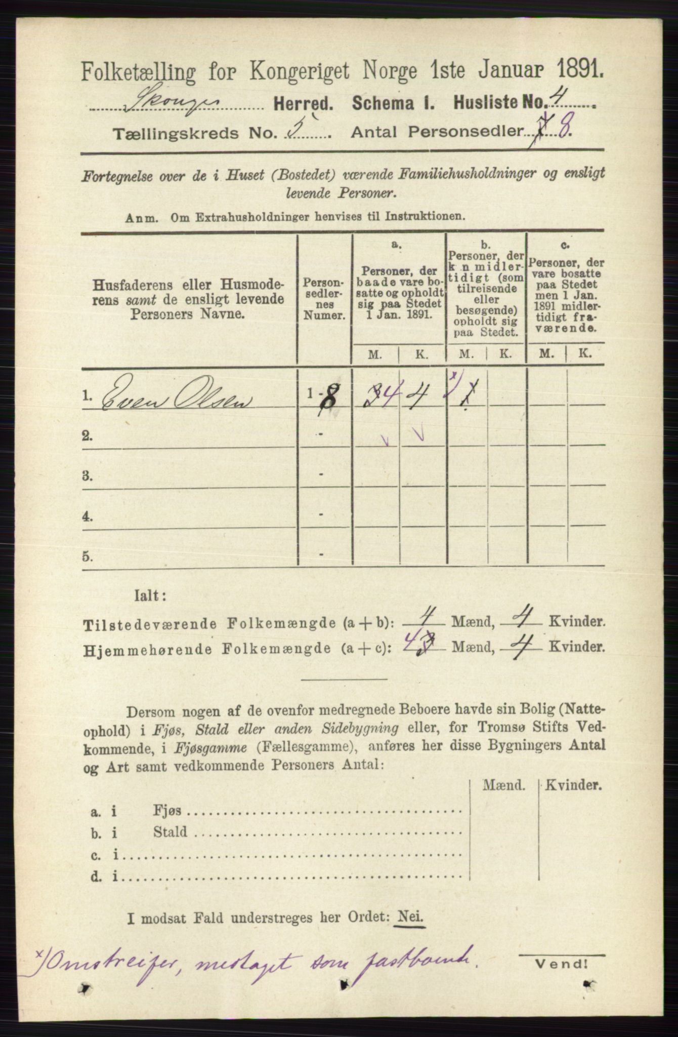 RA, 1891 census for 0712 Skoger, 1891, p. 3011