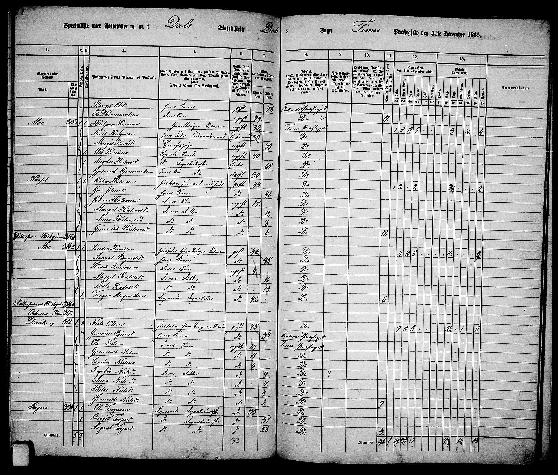 RA, 1865 census for Tinn, 1865, p. 103