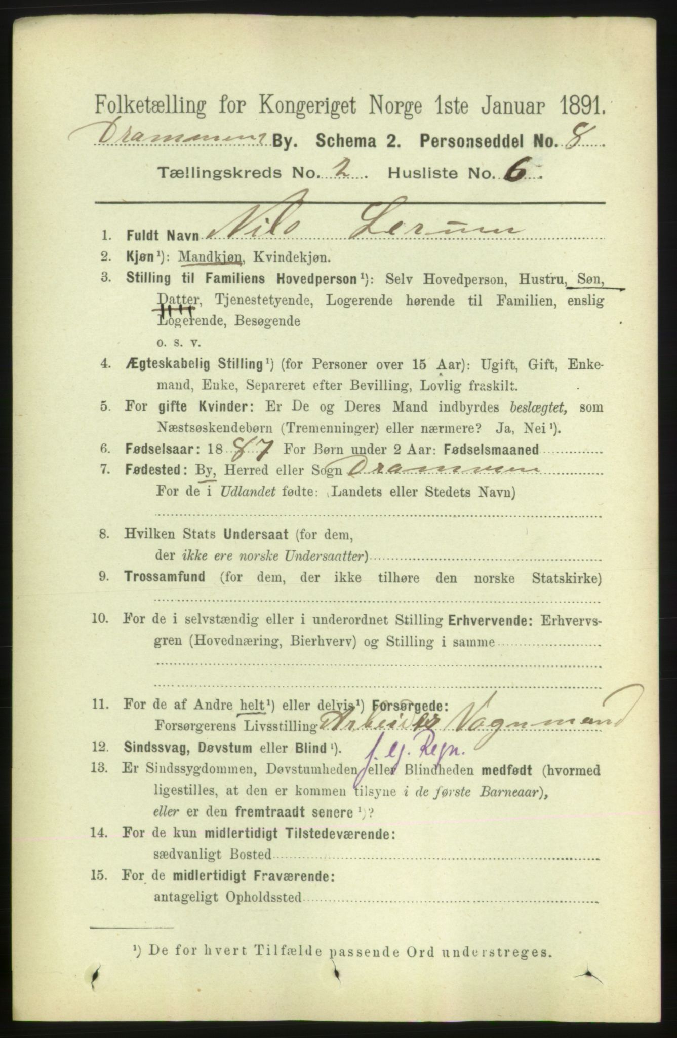 RA, 1891 census for 0602 Drammen, 1891, p. 4317
