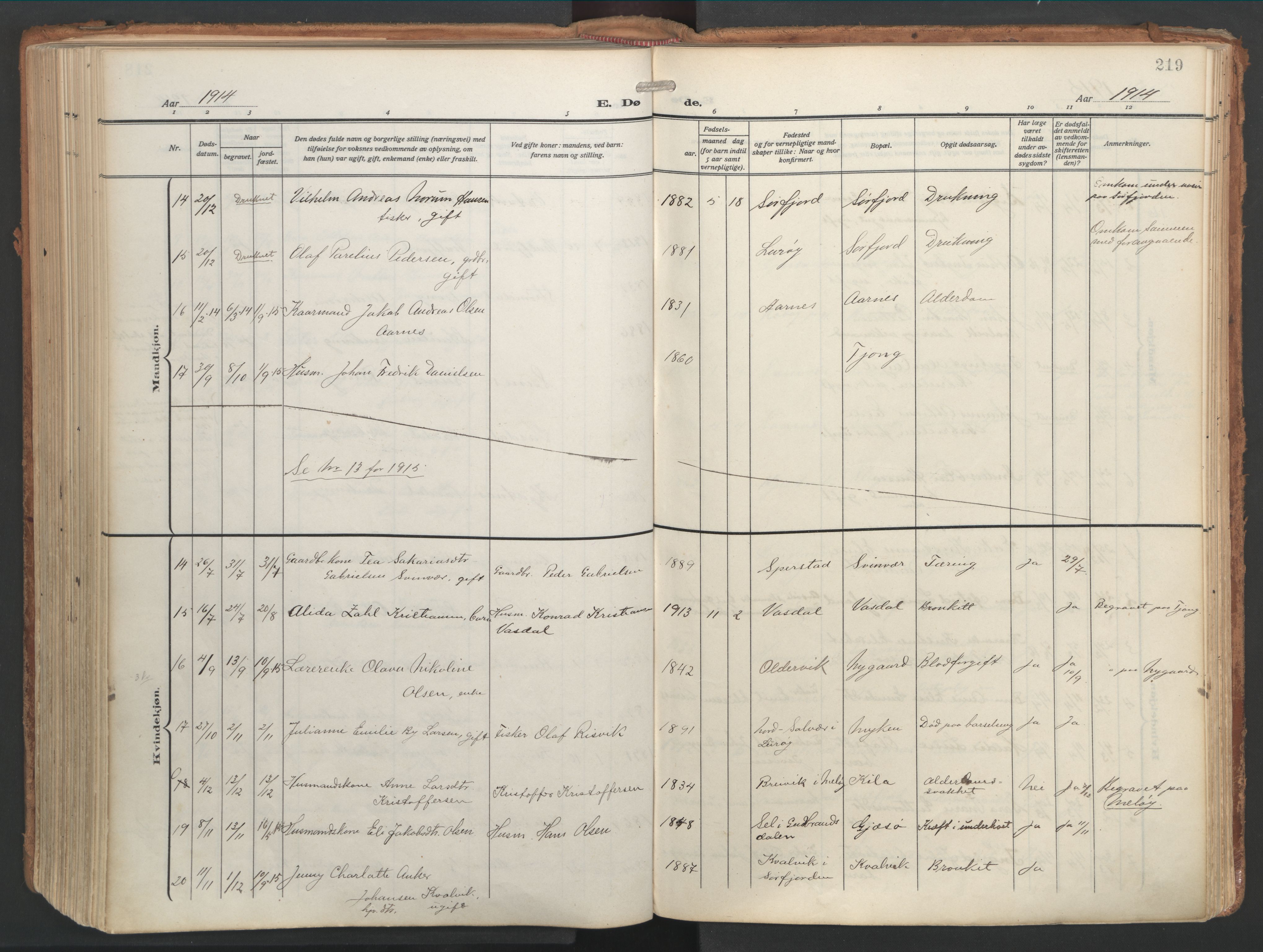 Ministerialprotokoller, klokkerbøker og fødselsregistre - Nordland, AV/SAT-A-1459/841/L0614: Parish register (official) no. 841A17, 1911-1925, p. 219