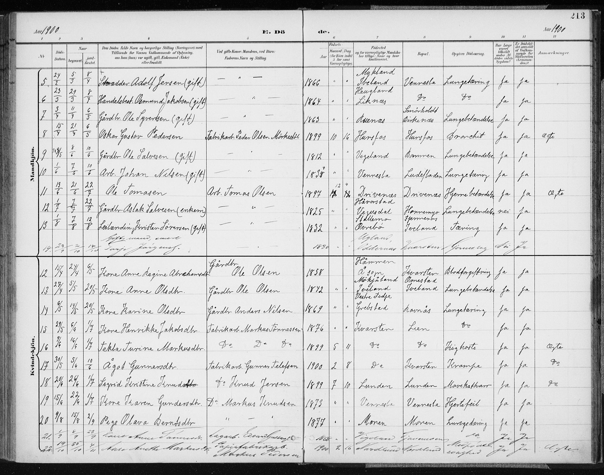 Vennesla sokneprestkontor, AV/SAK-1111-0045/Fa/Fab/L0005: Parish register (official) no. A 5, 1897-1909, p. 213