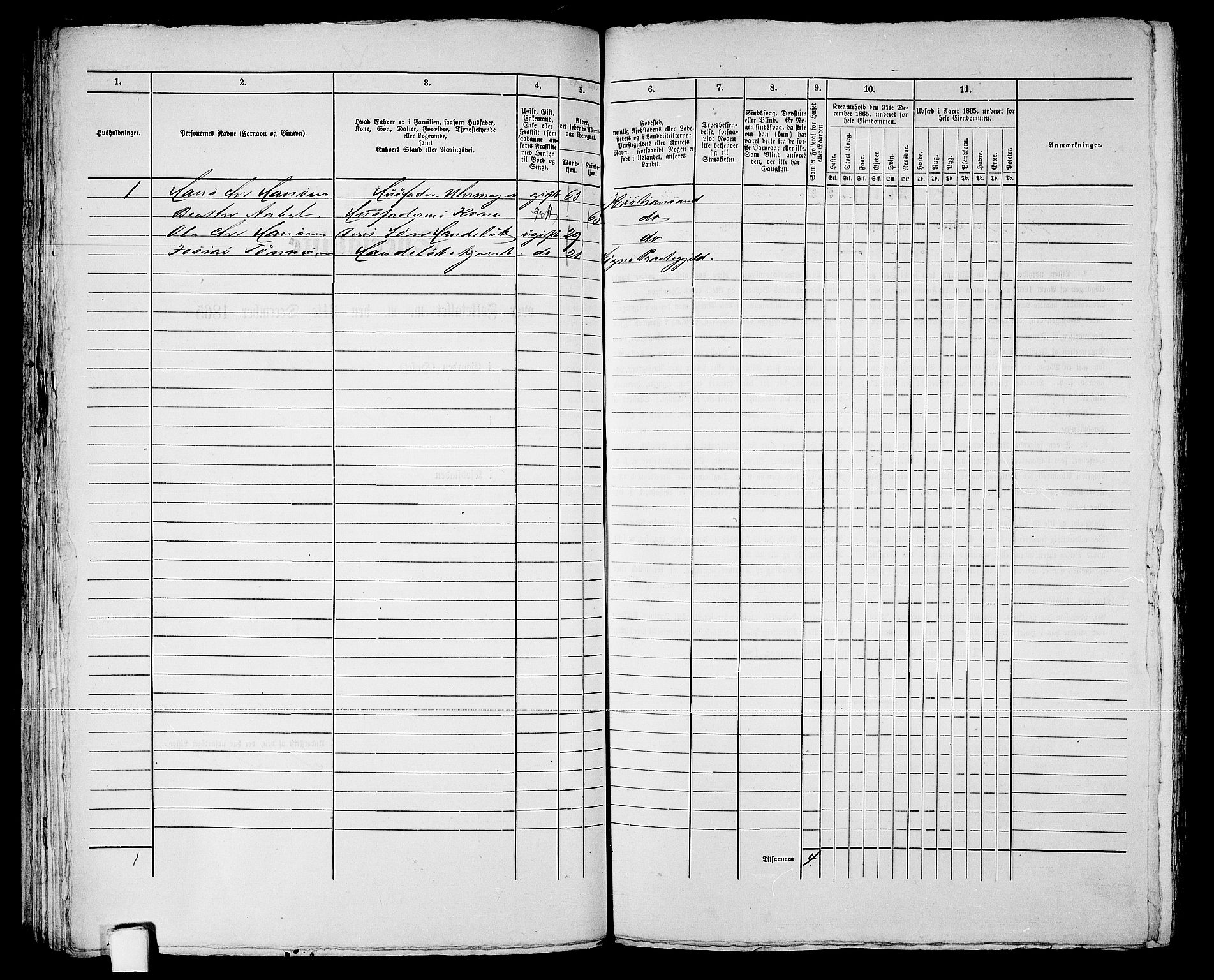 RA, 1865 census for Kristiansand, 1865, p. 1227