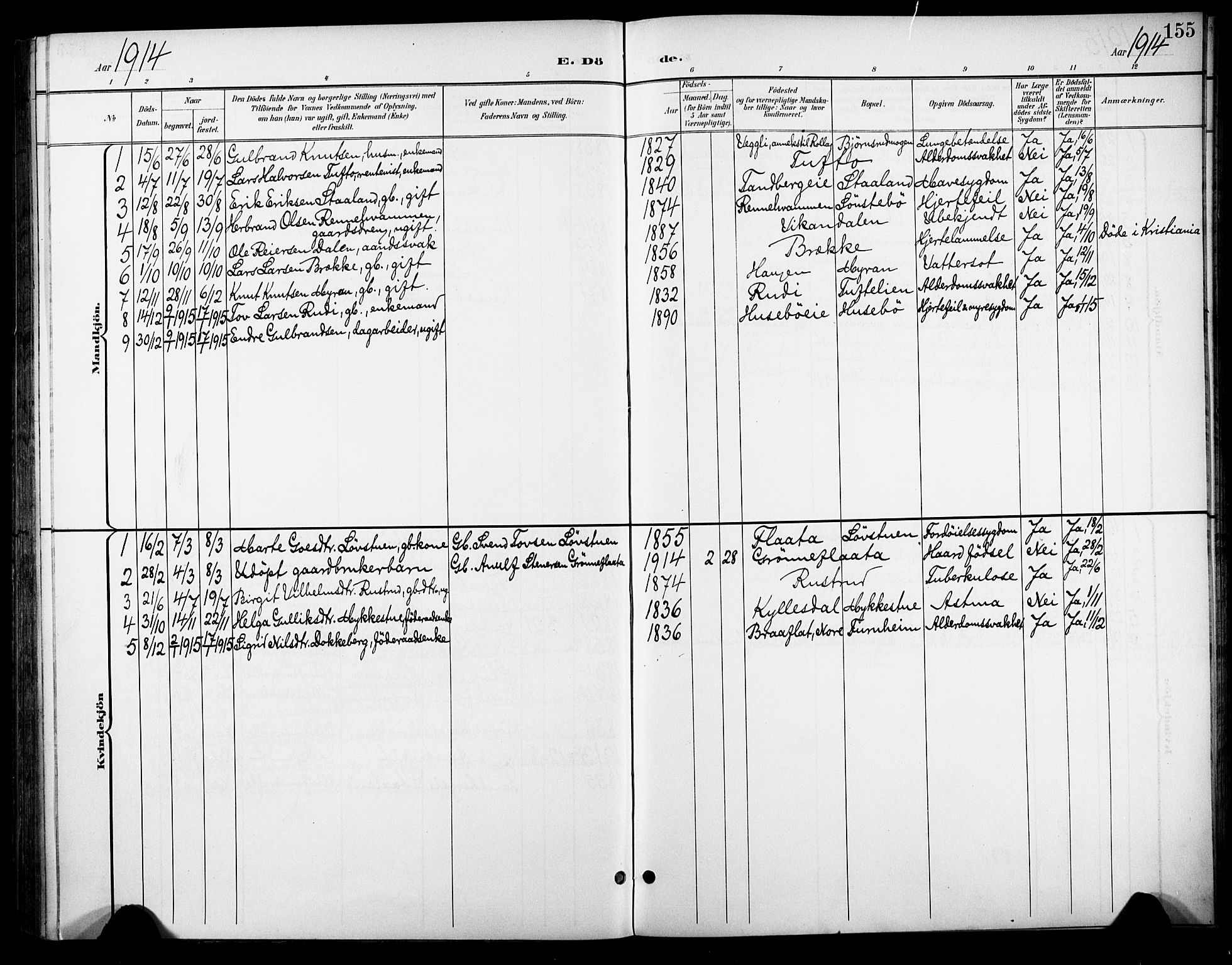 Nore kirkebøker, SAKO/A-238/F/Fc/L0005: Parish register (official) no. III 5, 1898-1922, p. 155