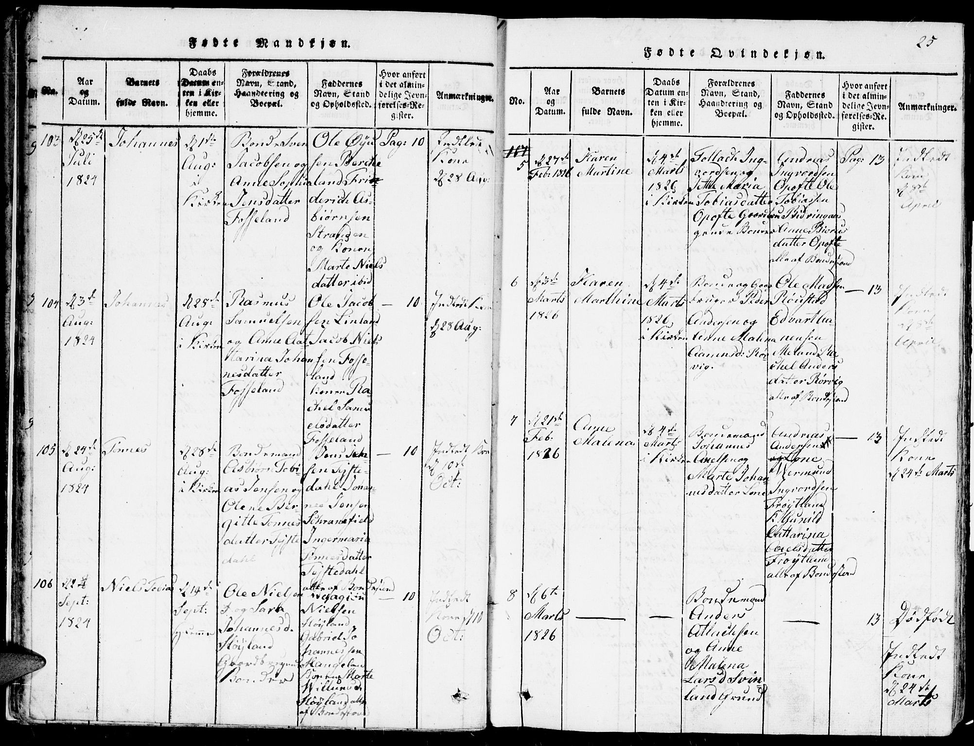 Kvinesdal sokneprestkontor, AV/SAK-1111-0026/F/Fa/Faa/L0001: Parish register (official) no. A 1, 1815-1849, p. 25