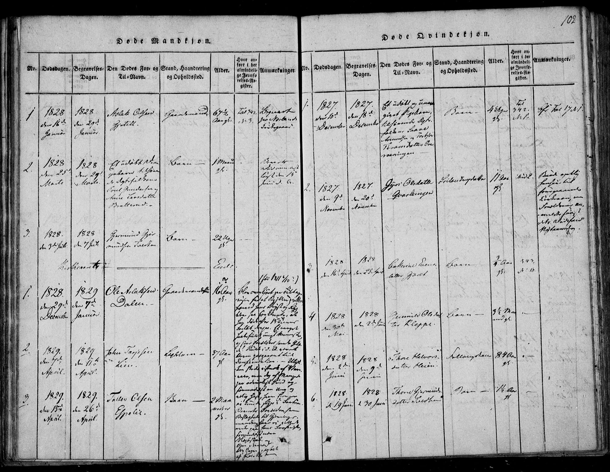 Lårdal kirkebøker, SAKO/A-284/F/Fb/L0001: Parish register (official) no. II 1, 1815-1860, p. 102
