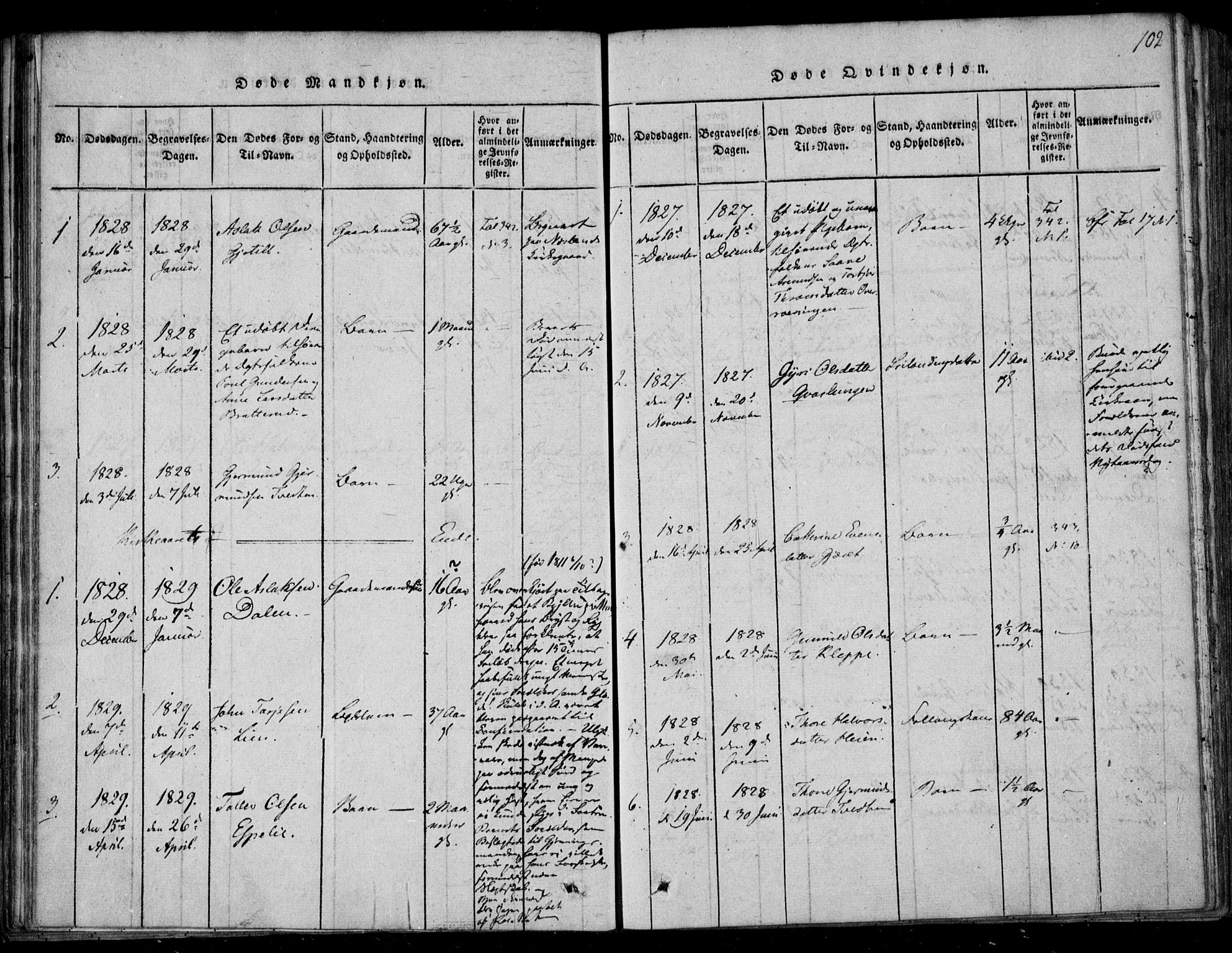 Lårdal kirkebøker, AV/SAKO-A-284/F/Fb/L0001: Parish register (official) no. II 1, 1815-1860, p. 102