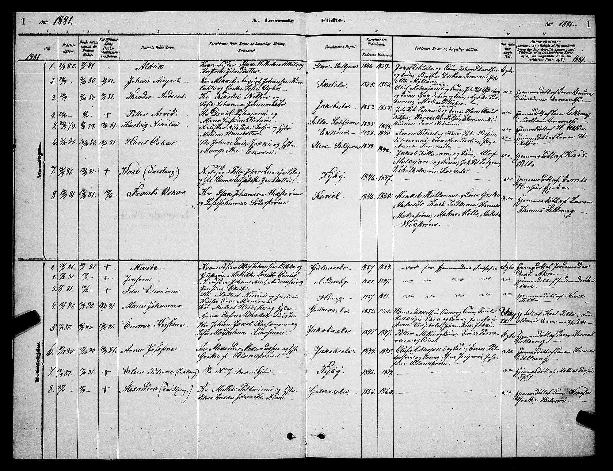 Vadsø sokneprestkontor, AV/SATØ-S-1325/H/Hb/L0003klokker: Parish register (copy) no. 3, 1881-1901, p. 1