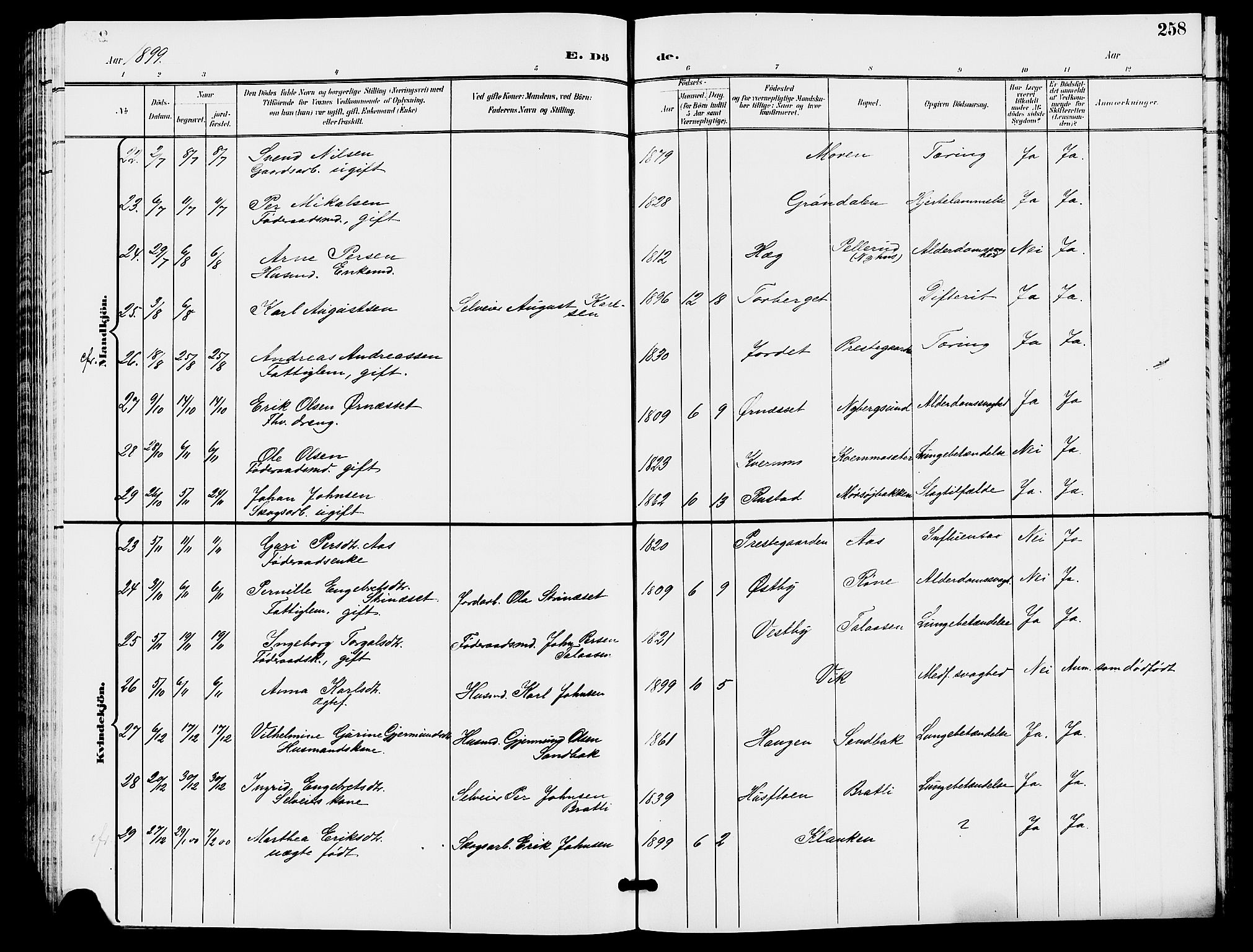 Trysil prestekontor, SAH/PREST-046/H/Ha/Hab/L0006: Parish register (copy) no. 6, 1896-1912, p. 258