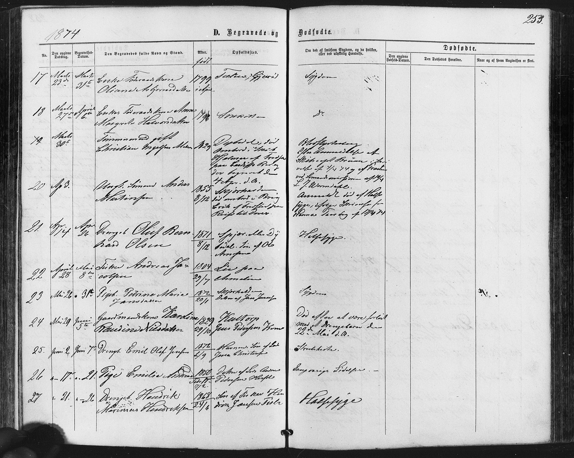 Hvaler prestekontor Kirkebøker, SAO/A-2001/F/Fa/L0007: Parish register (official) no. I 7, 1864-1878, p. 253