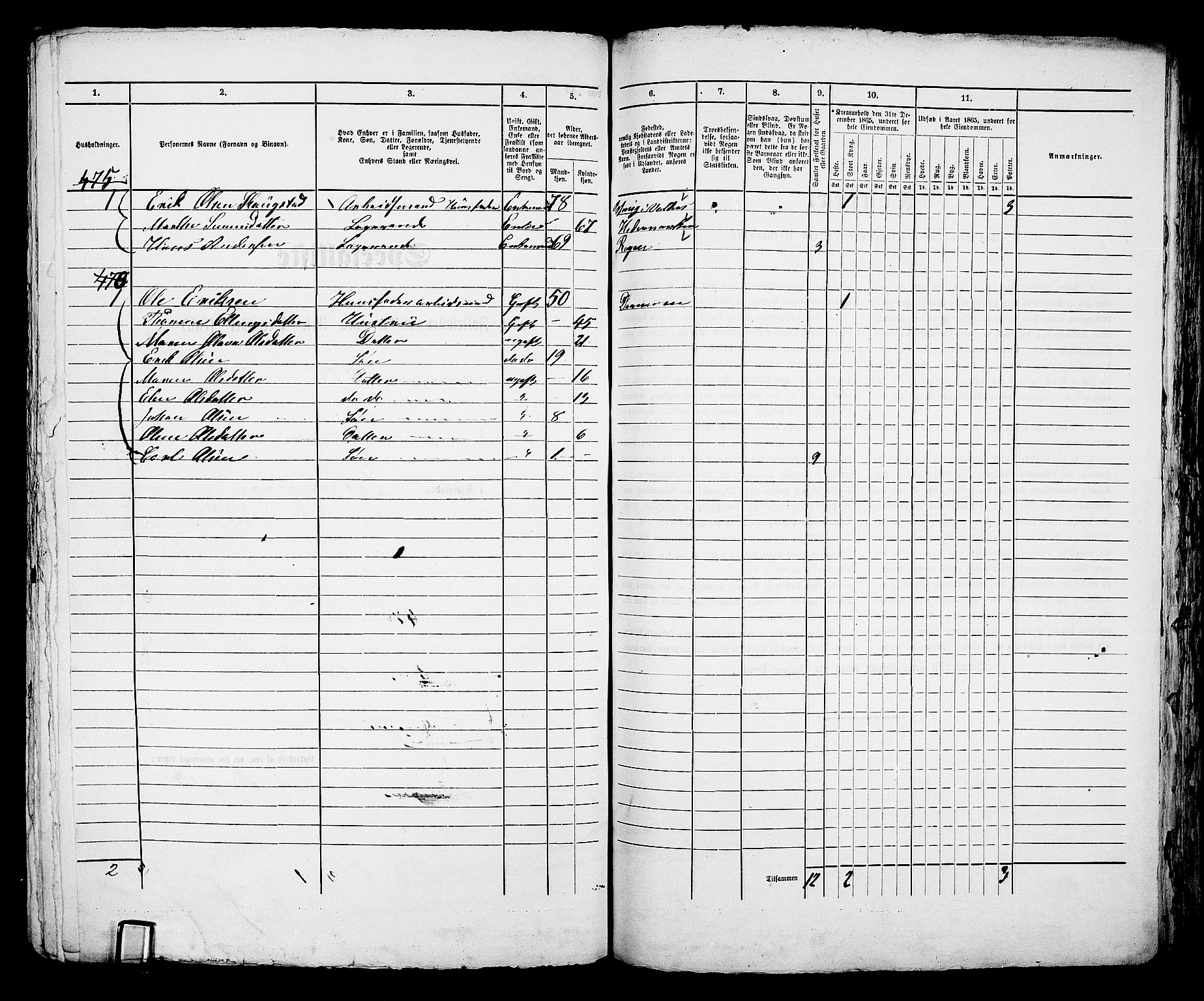 RA, 1865 census for Bragernes in Drammen, 1865, p. 1096