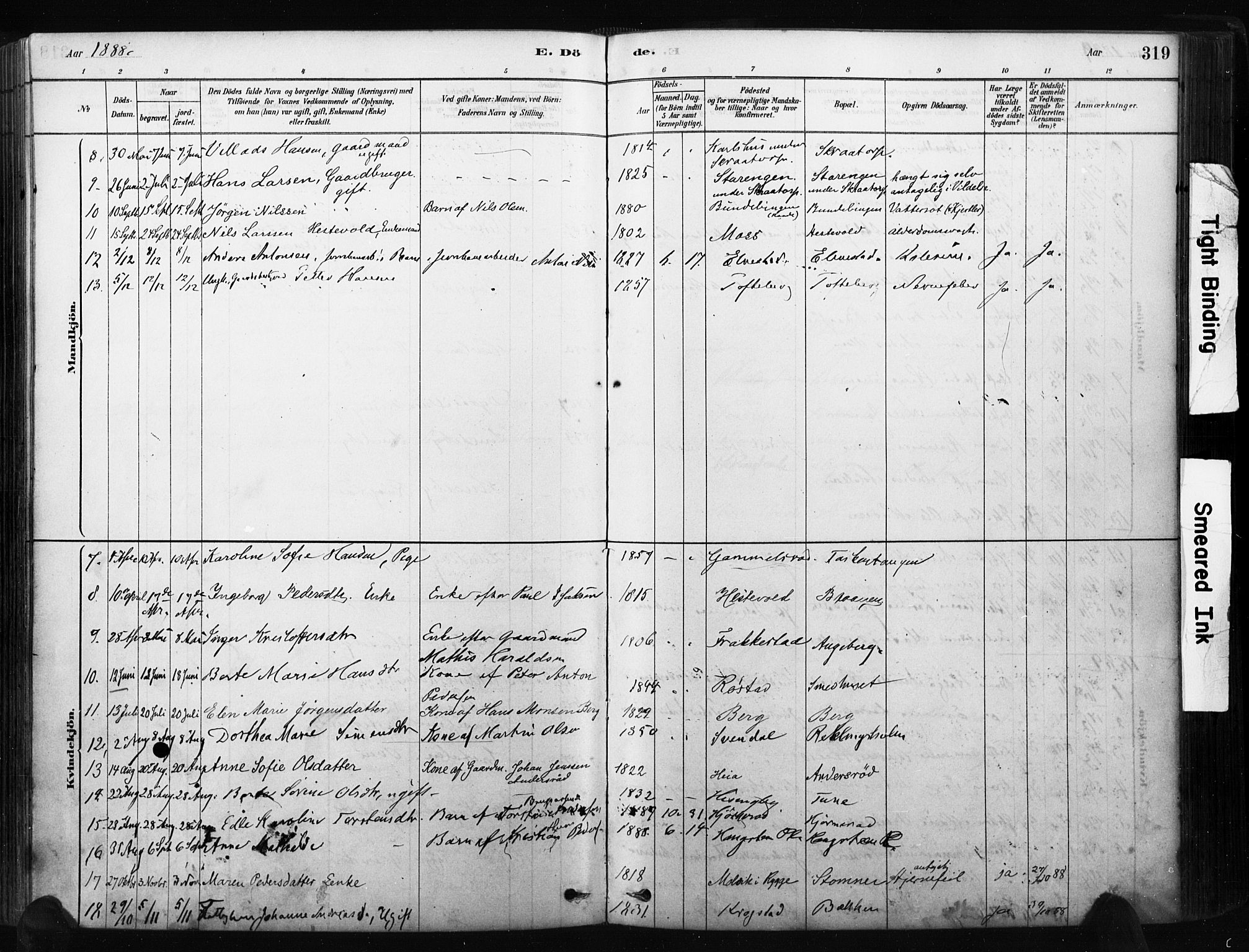 Råde prestekontor kirkebøker, AV/SAO-A-2009/F/Fa/L0007: Parish register (official) no. 7, 1878-1902, p. 319
