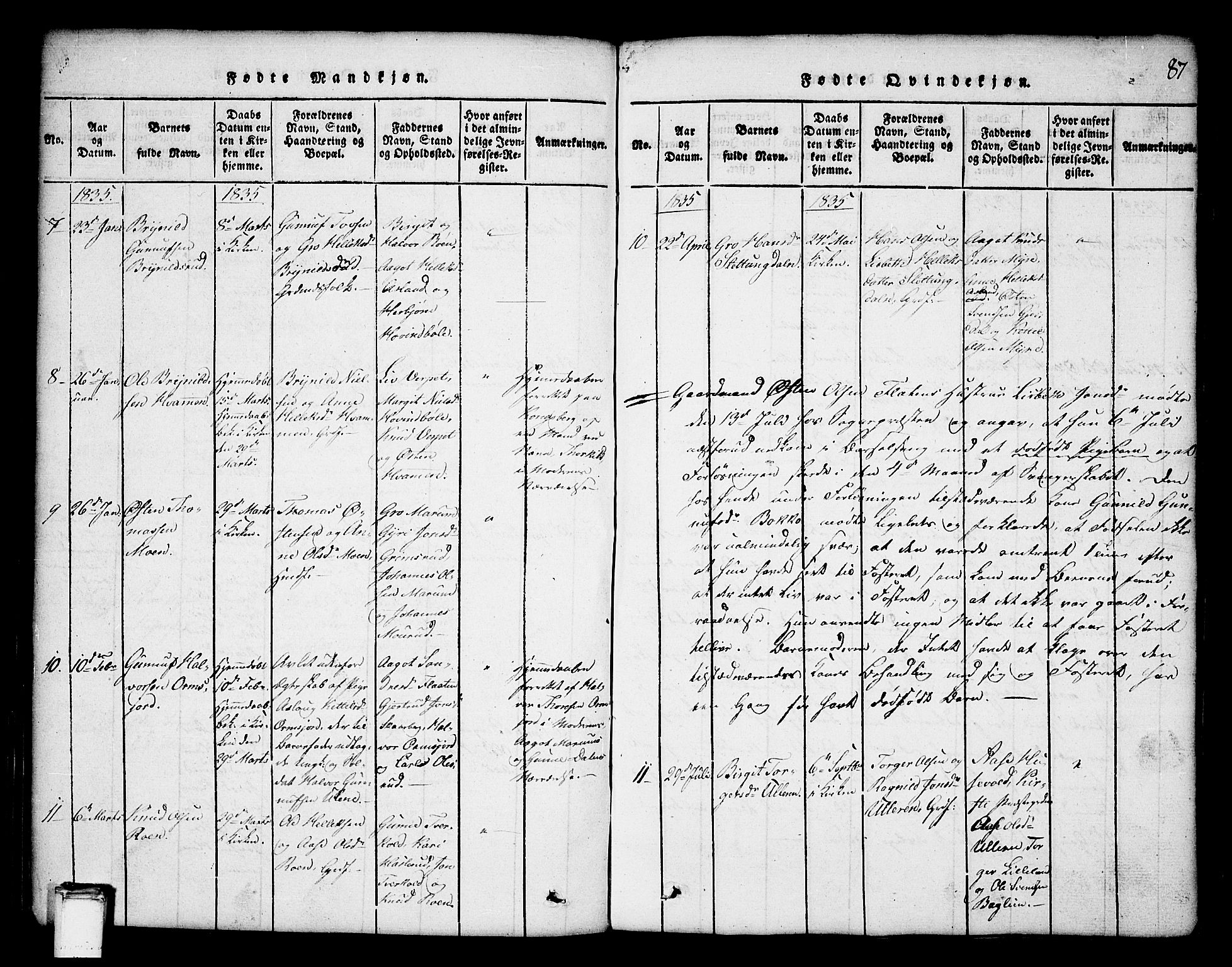 Tinn kirkebøker, AV/SAKO-A-308/G/Ga/L0001: Parish register (copy) no. I 1, 1815-1850, p. 87