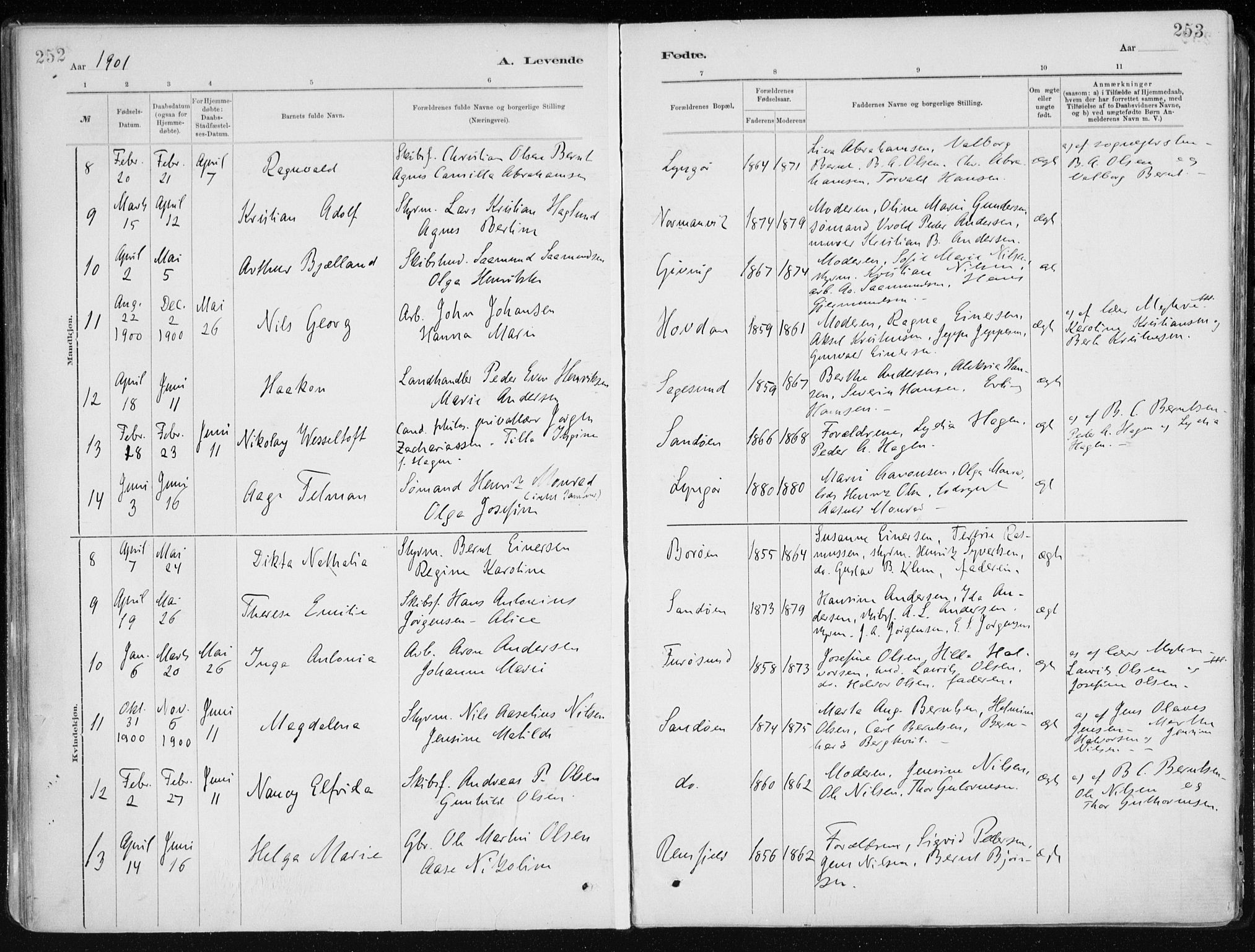 Dypvåg sokneprestkontor, AV/SAK-1111-0007/F/Fa/Faa/L0008: Parish register (official) no. A 8, 1885-1906, p. 252-253