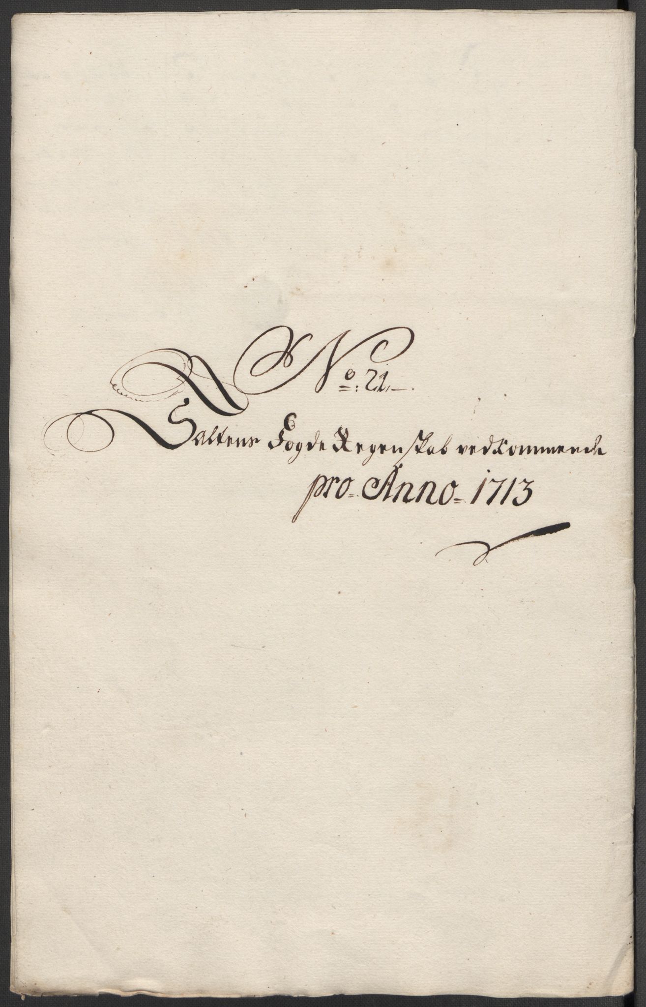 Rentekammeret inntil 1814, Reviderte regnskaper, Fogderegnskap, AV/RA-EA-4092/R66/L4583: Fogderegnskap Salten, 1713, p. 166