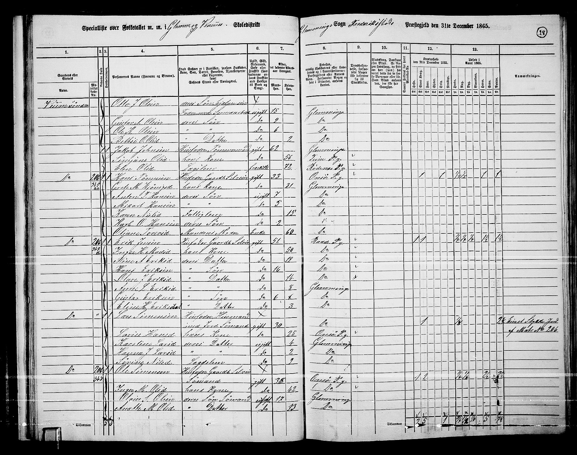 RA, 1865 census for Fredrikstad/Glemmen, 1865, p. 30