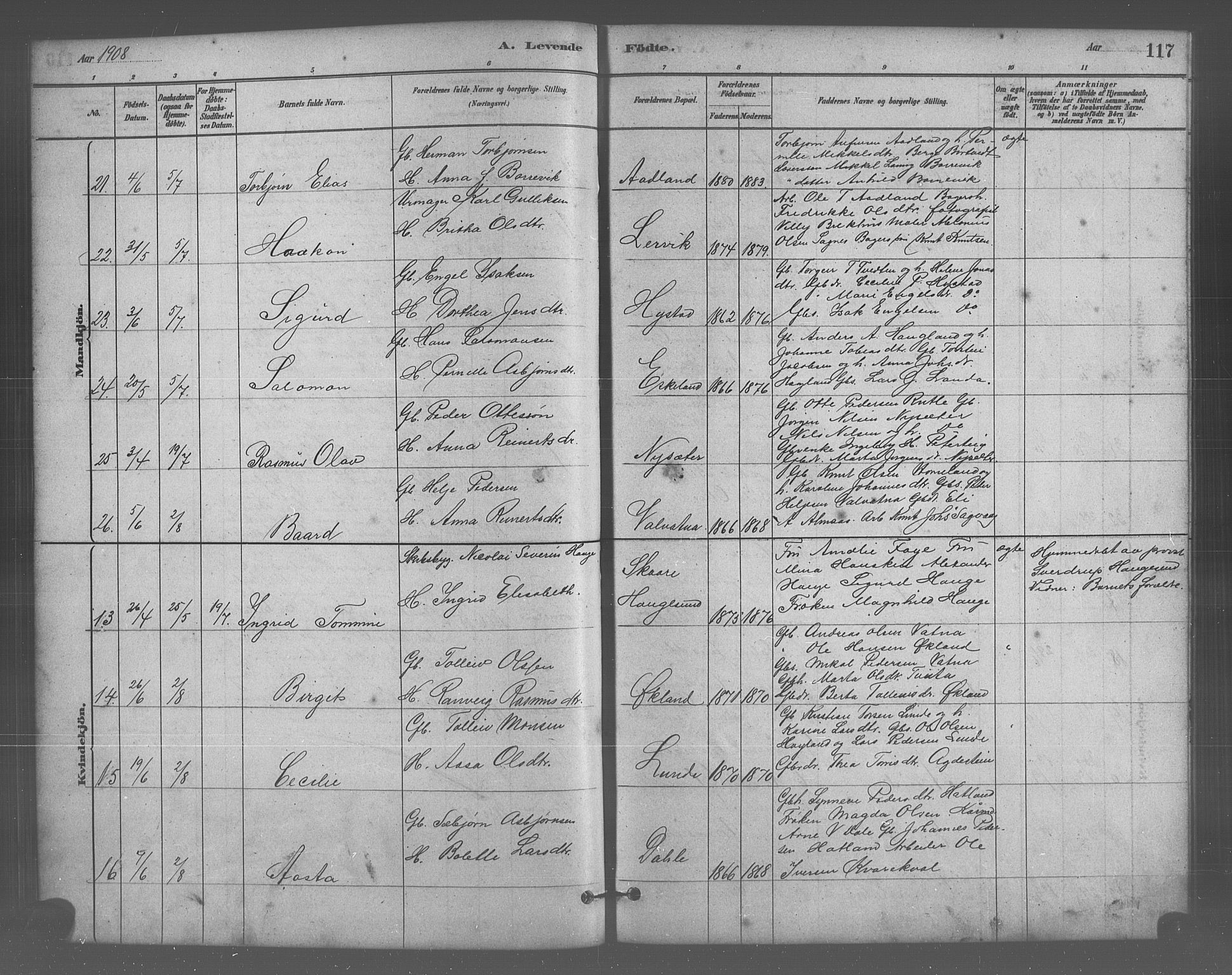 Stord sokneprestembete, AV/SAB-A-78201/H/Hab: Parish register (copy) no. A 2, 1879-1909, p. 117