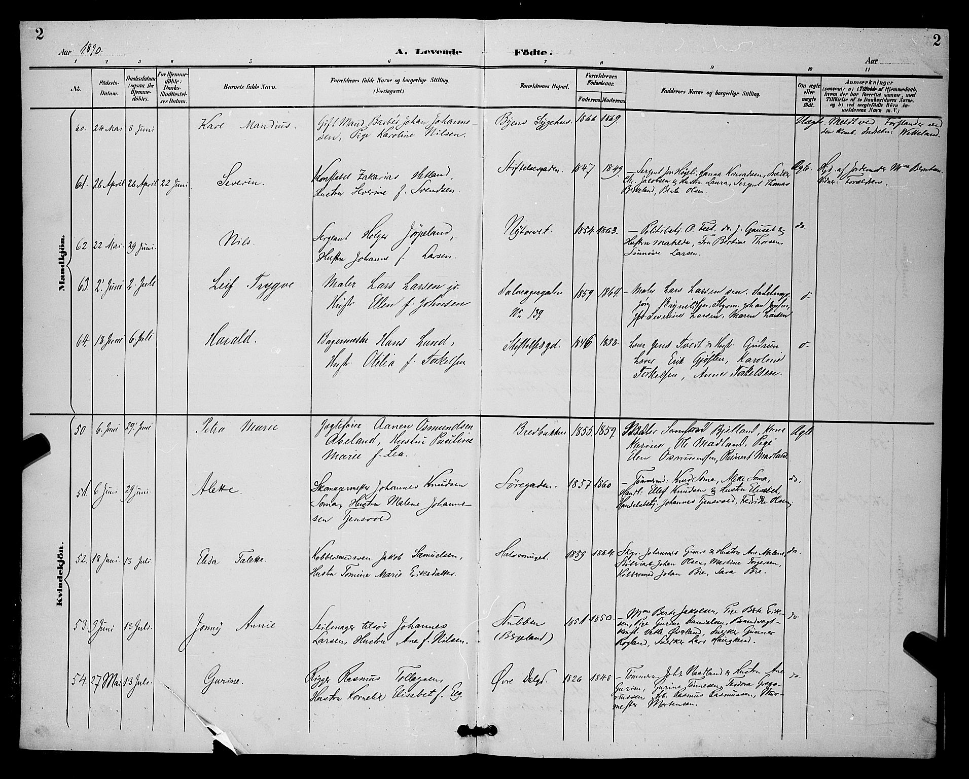 St. Petri sokneprestkontor, SAST/A-101813/001/30/30BB/L0006: Parish register (copy) no. B 6, 1890-1897, p. 2