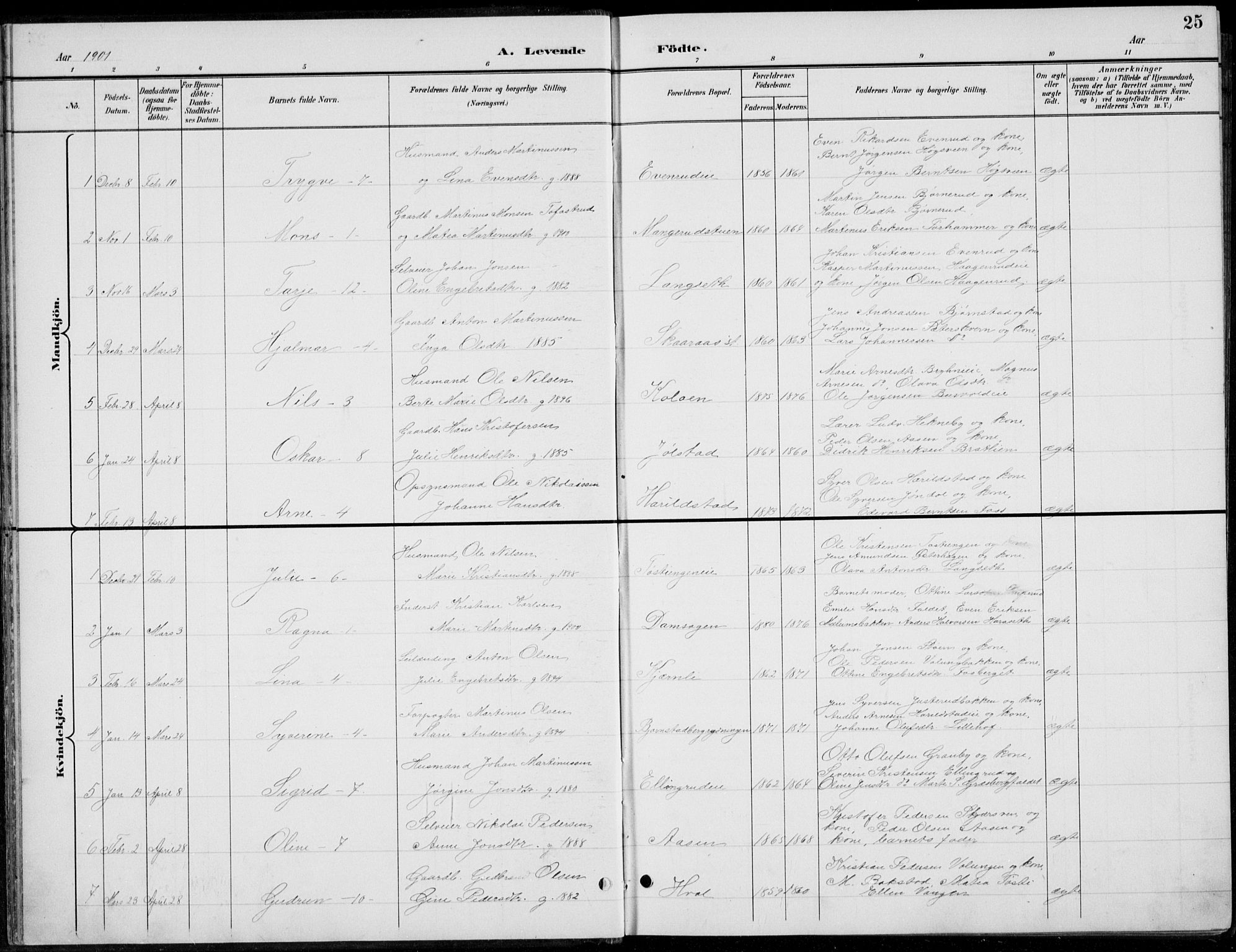 Romedal prestekontor, AV/SAH-PREST-004/L/L0013: Parish register (copy) no. 13, 1896-1937, p. 25