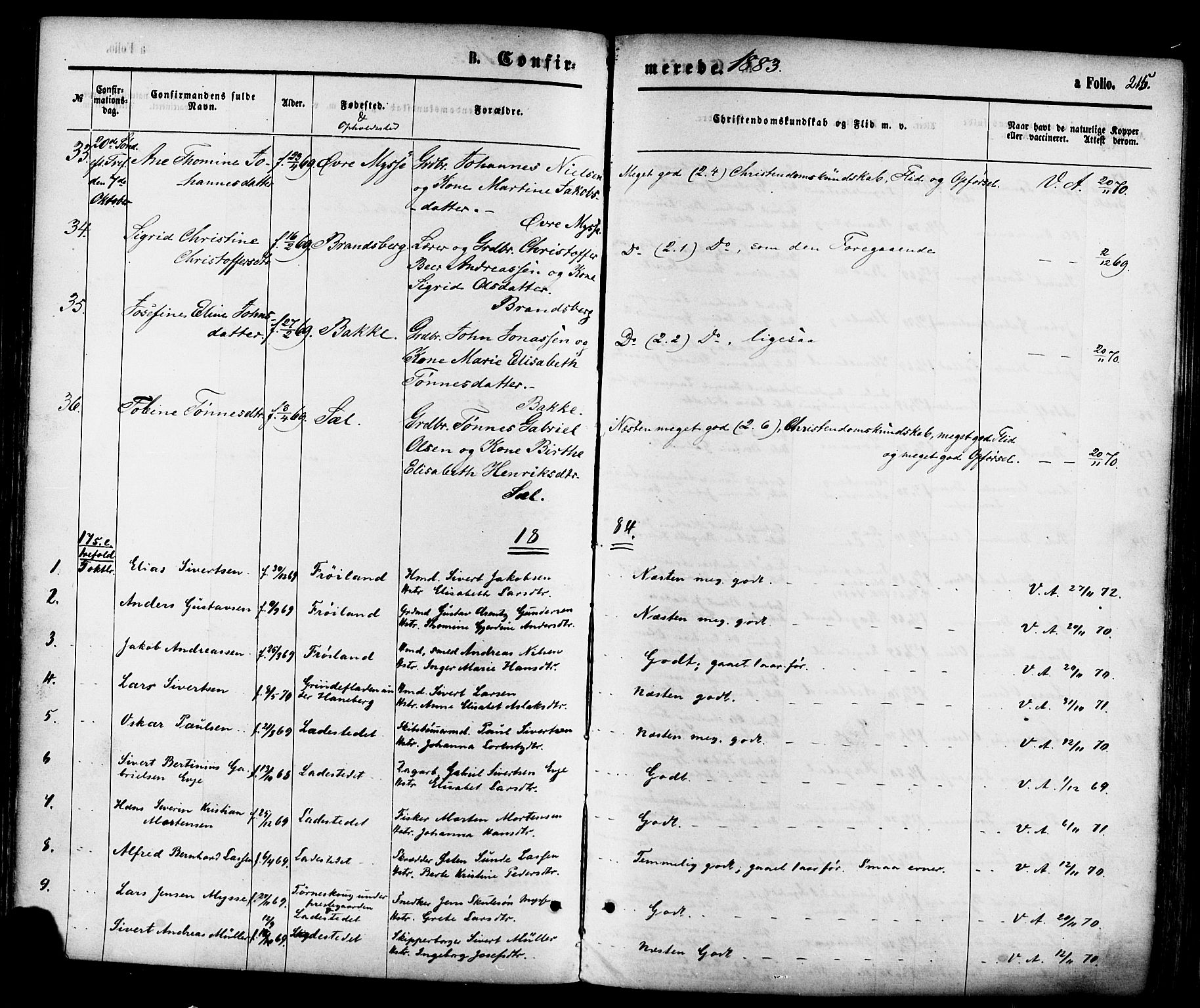 Sokndal sokneprestkontor, AV/SAST-A-101808: Parish register (official) no. A 10, 1874-1886, p. 215