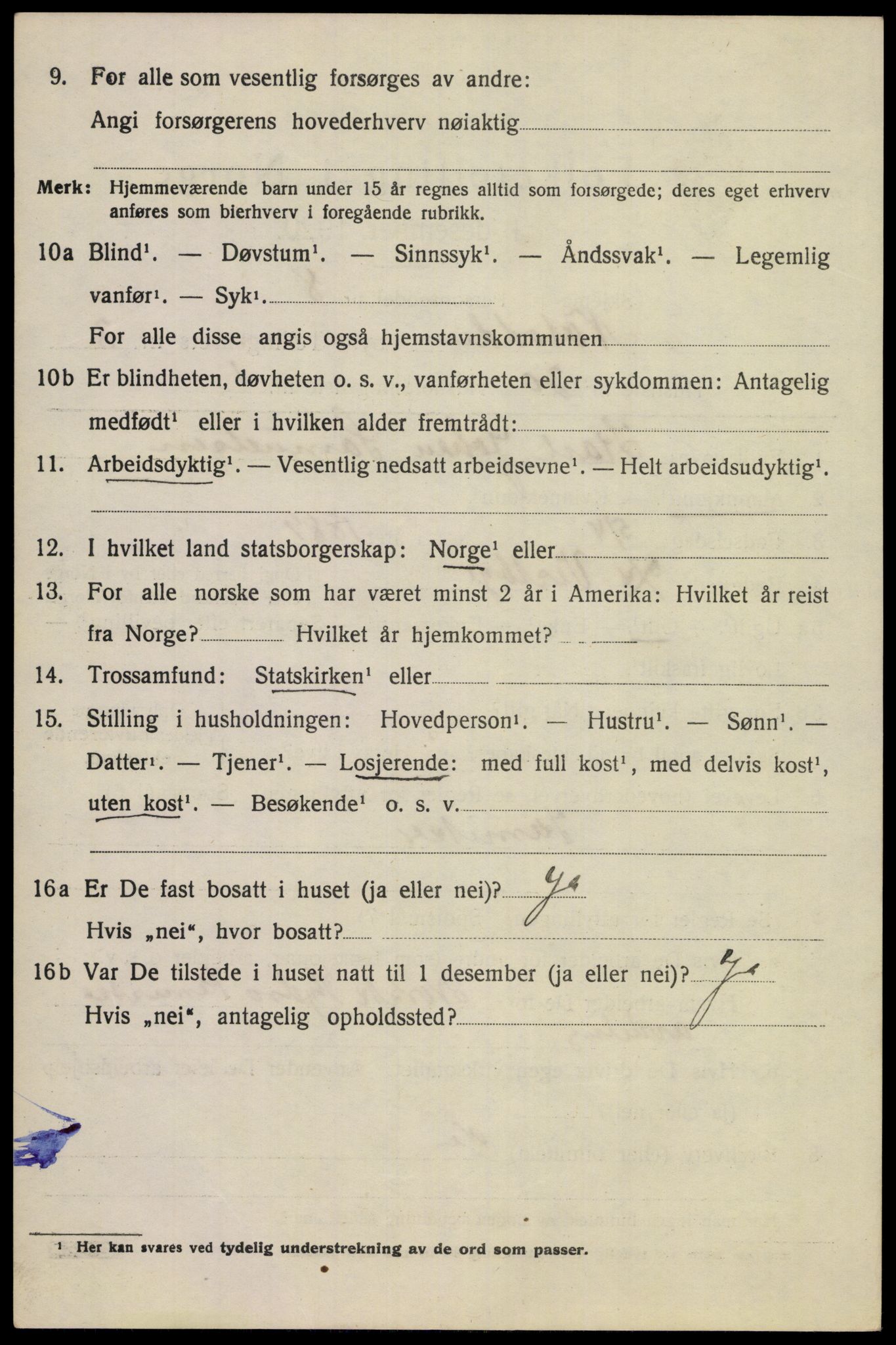 SAKO, 1920 census for Notodden, 1920, p. 8975